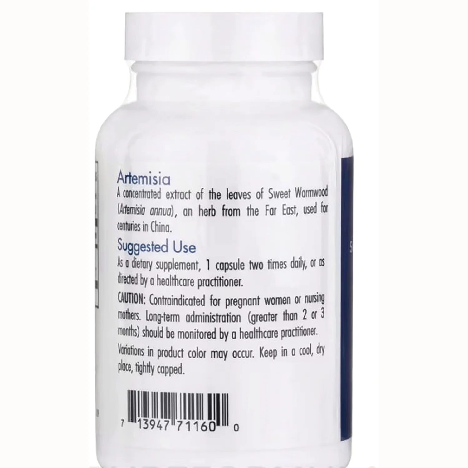 Artemisia - Image 3