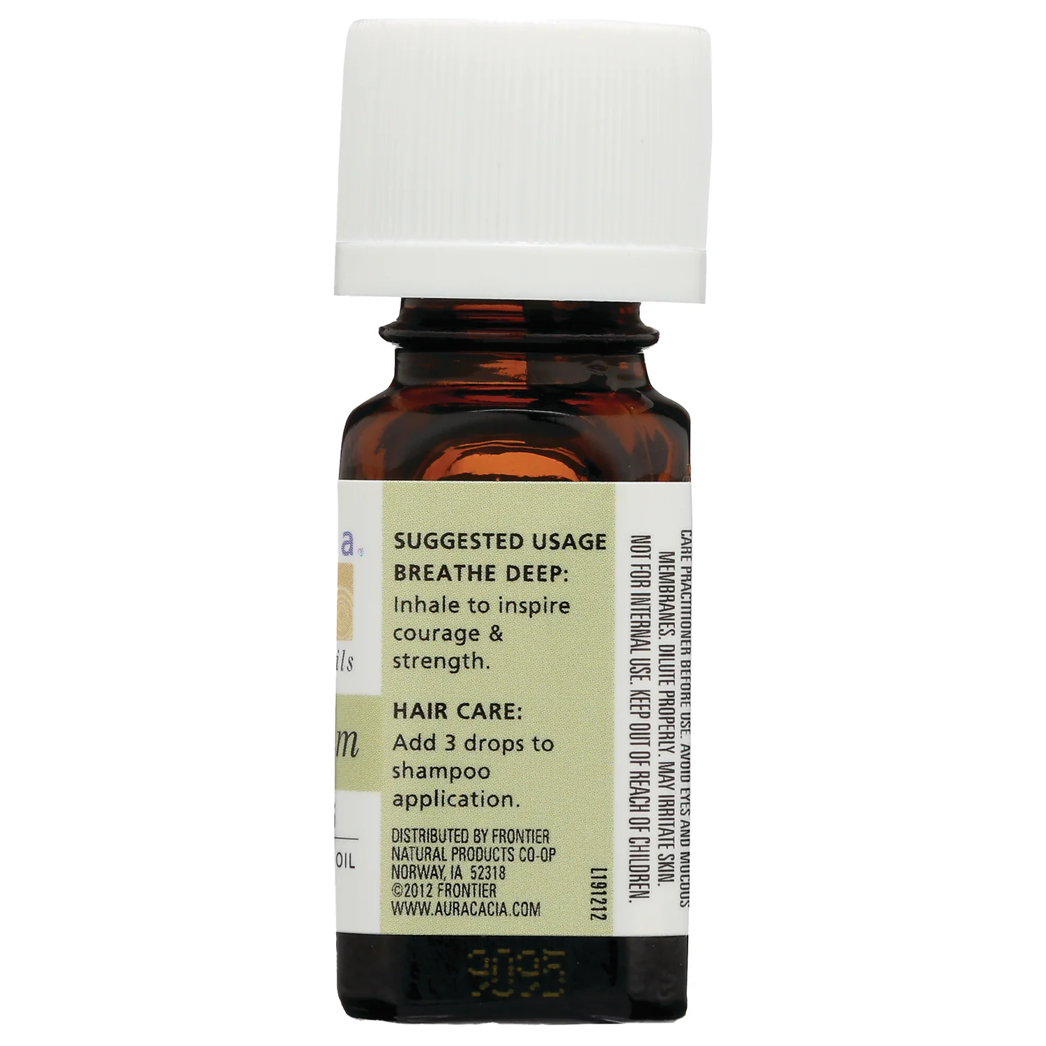 Helichrysum - Image 3
