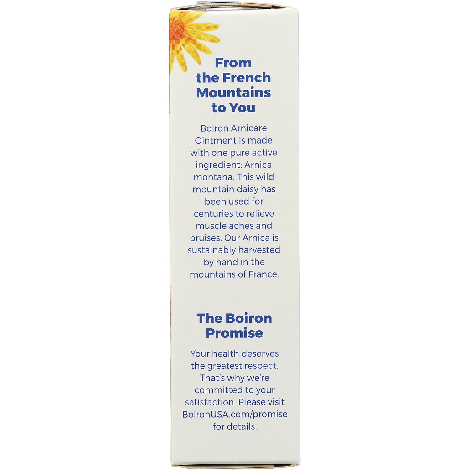 Arnicare Ointment - Fragrance-Free - Image 4
