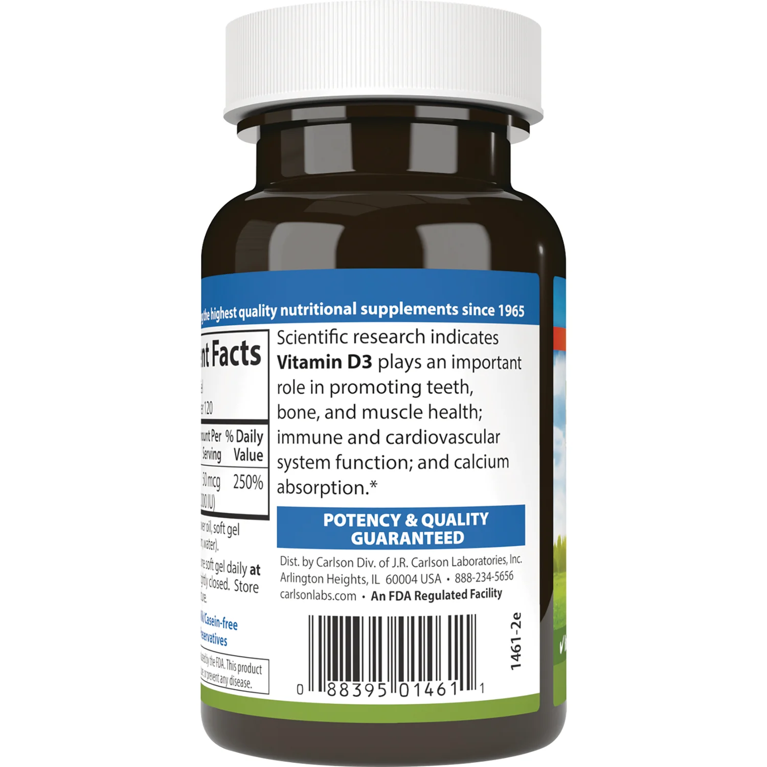 Vitamin D3 - Image 3
