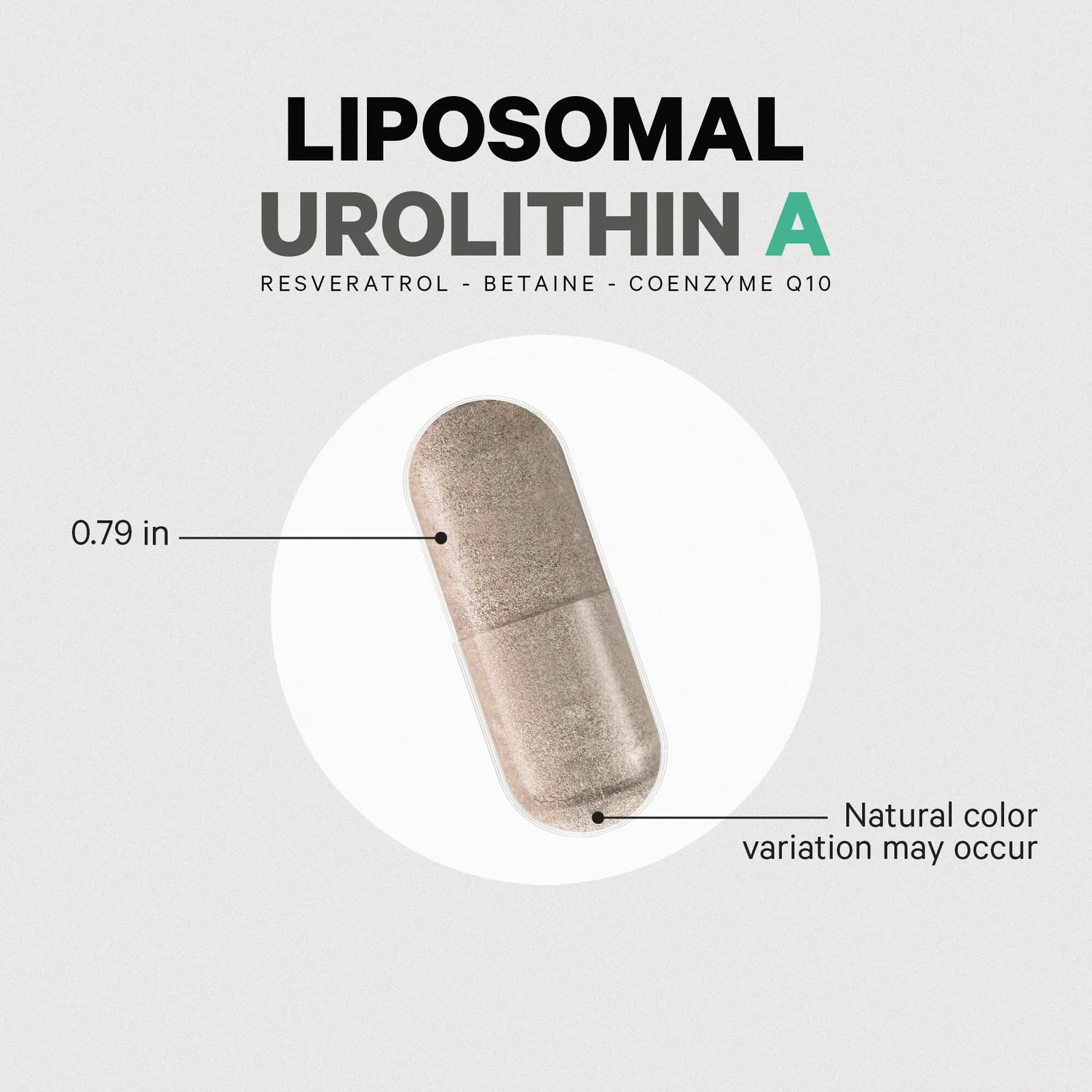 Liposomal Urolithin A - Image 4