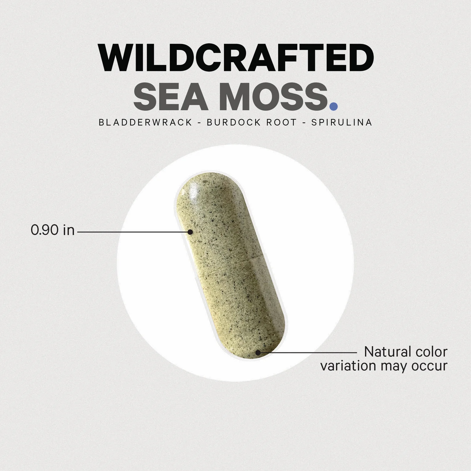 Sea Moss Wildcrafted - Image 4