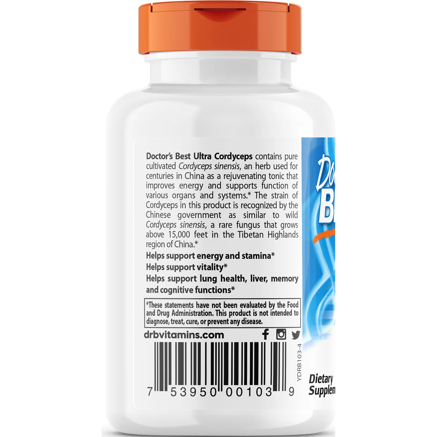 Ultra Cordyceps - Image 3