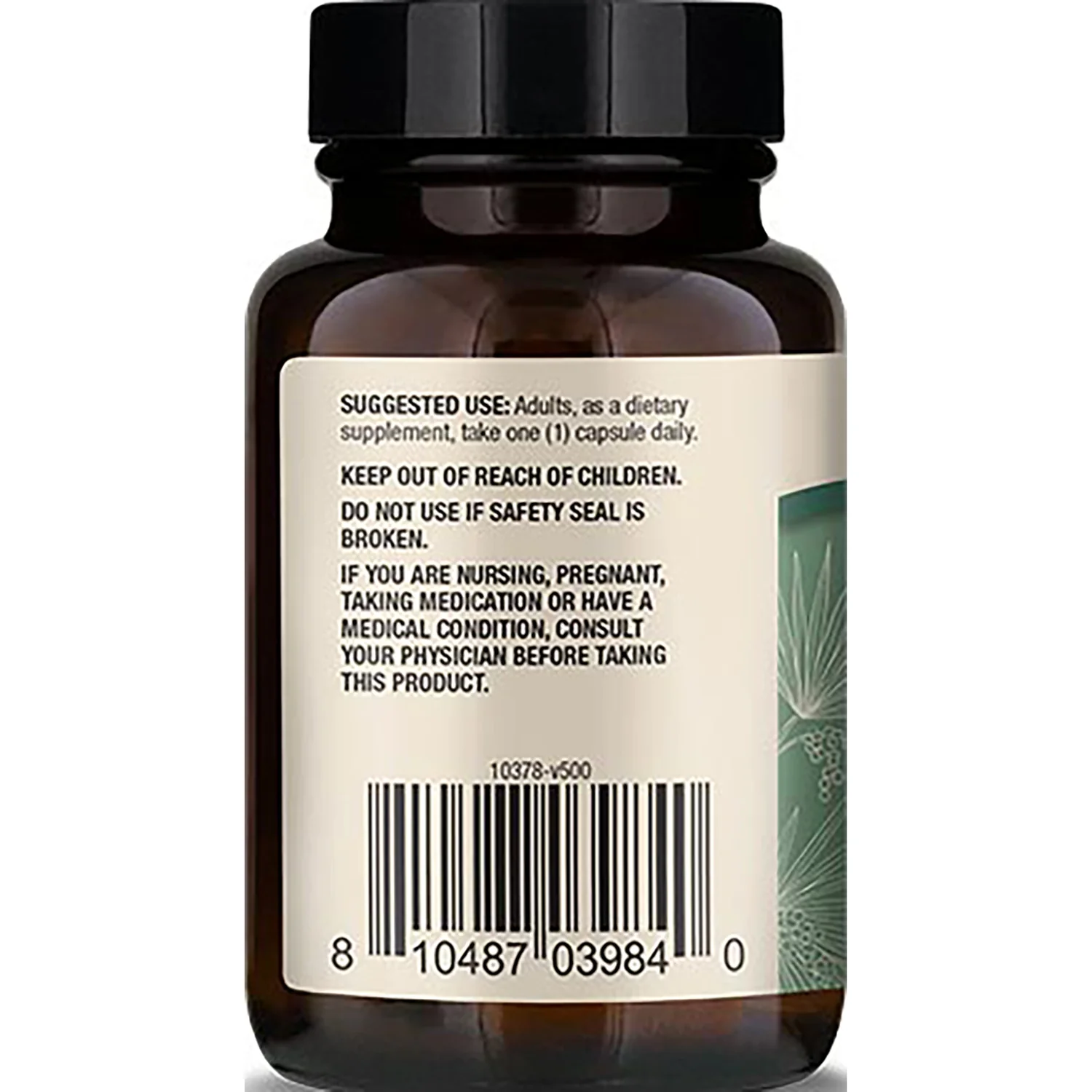 Saw Palmetto - Image 3
