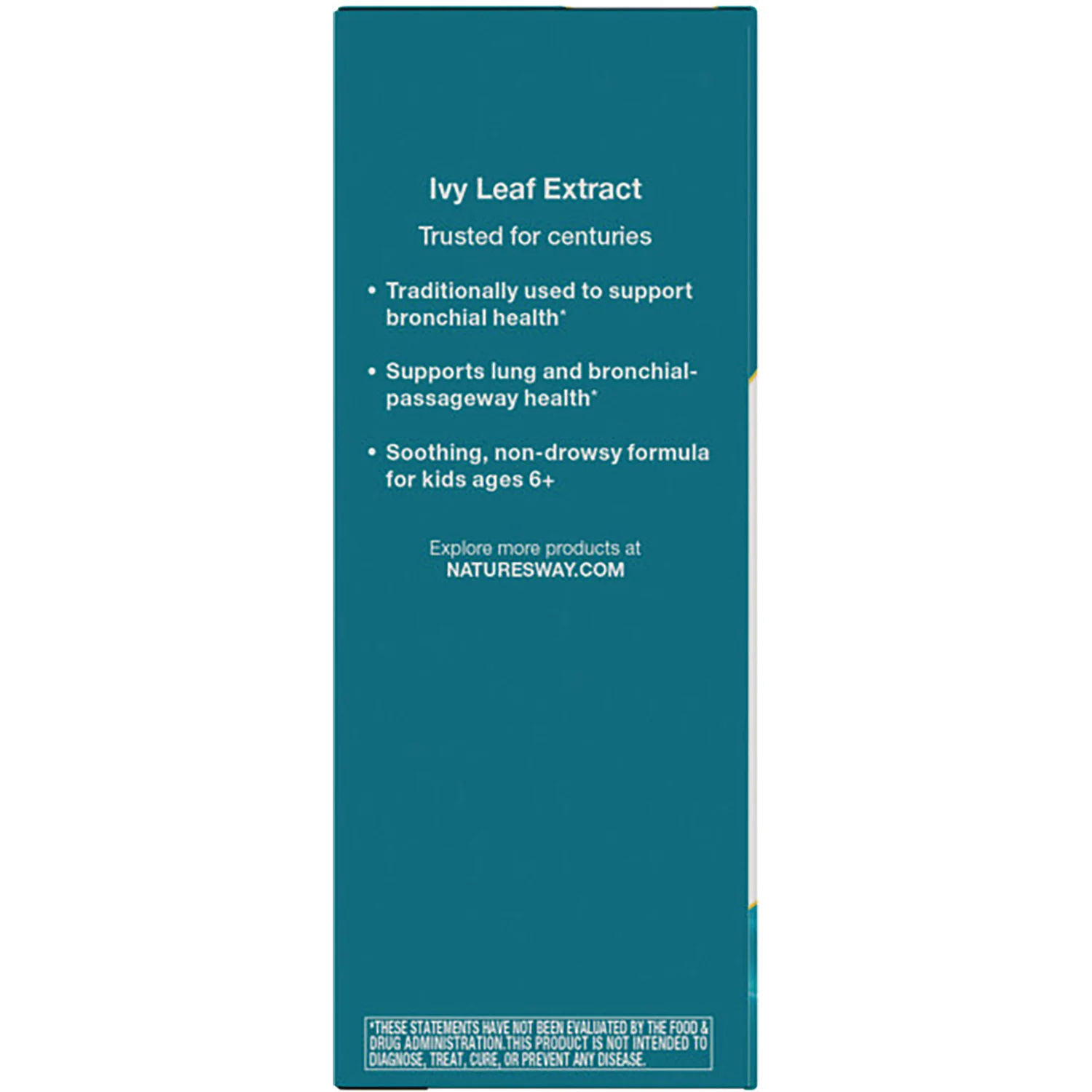 Bronchial Soothe Ivy Leaf Extract Syrup - Image 3