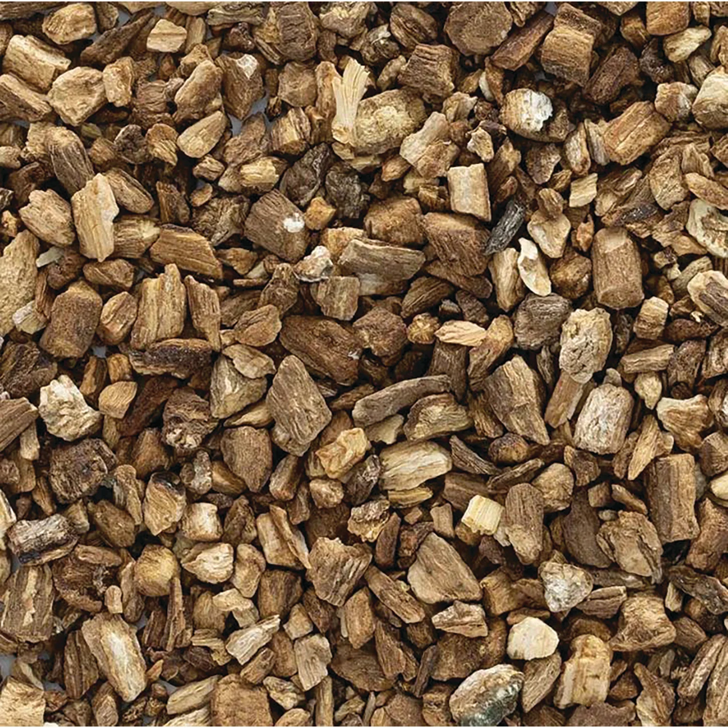 Organic Burdock Root - Cut & Sifted - Image 2
