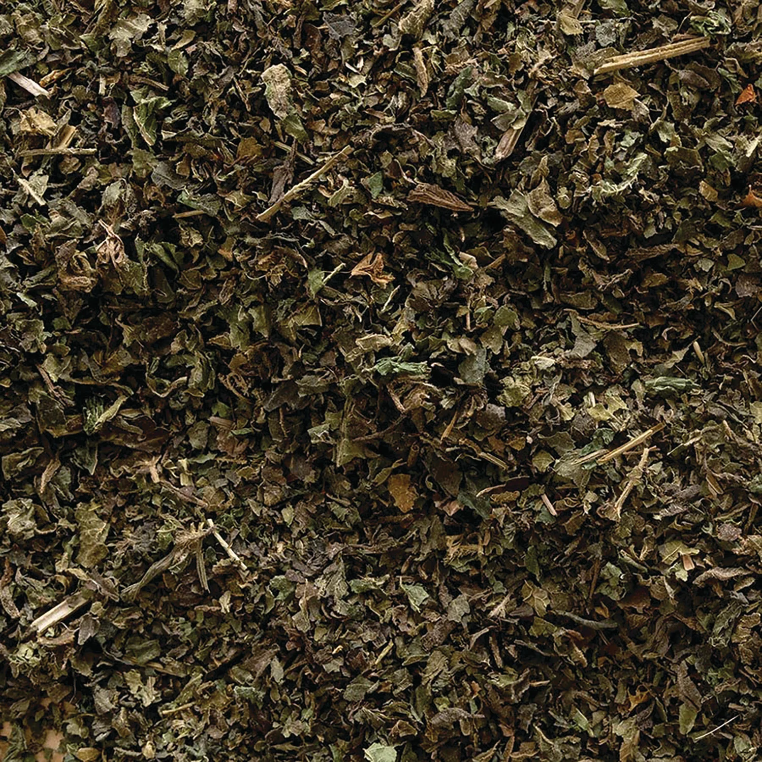 Organic Stinging Nettle Leaf - Cut & Sifted - Image 2