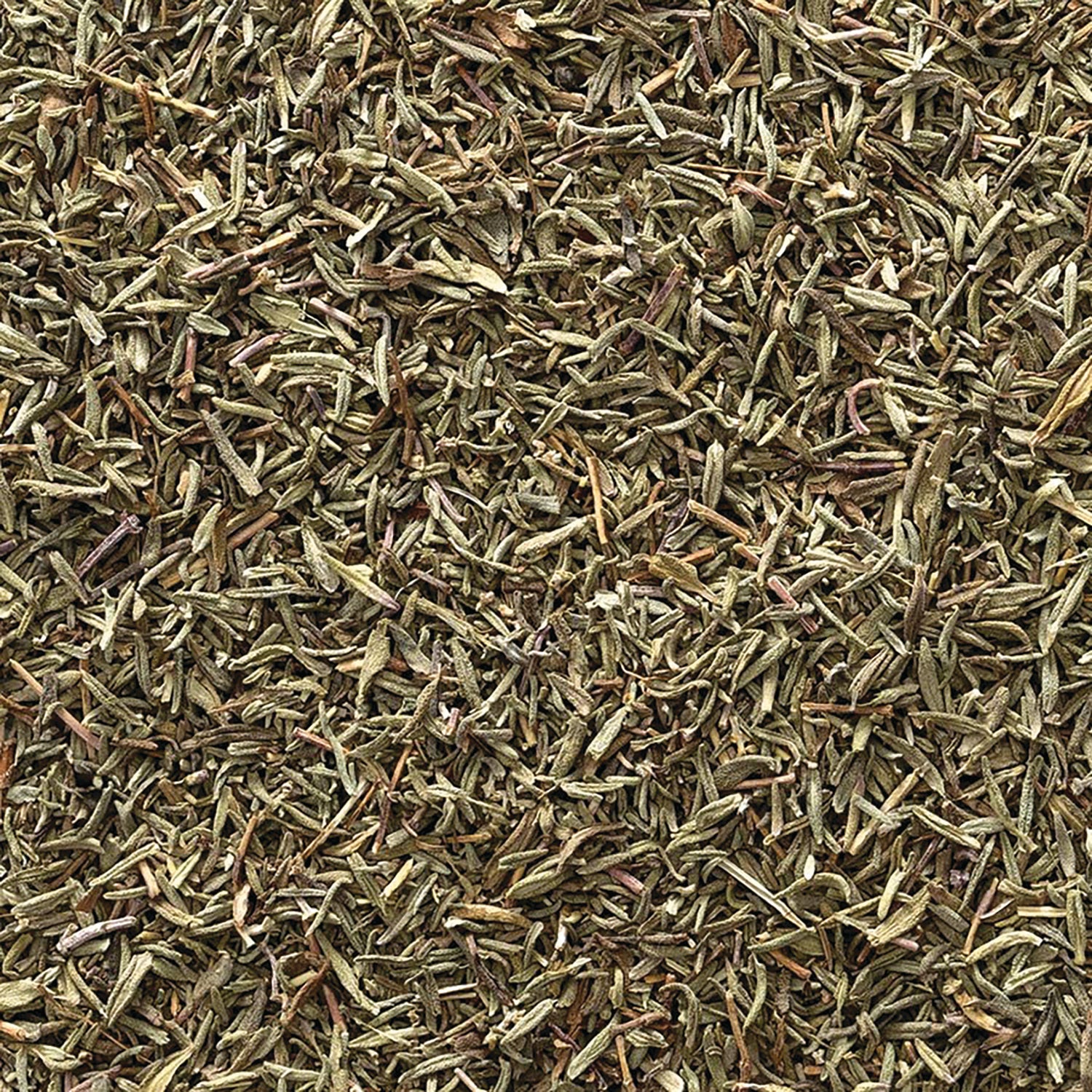 Organic Thyme Leaf - Image 2