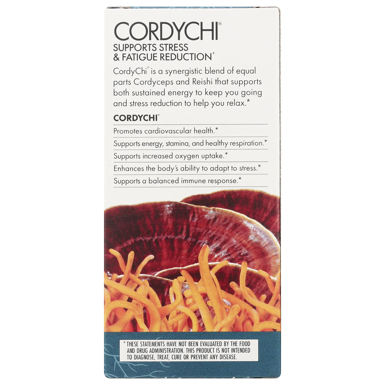 CordyChi - Image 4