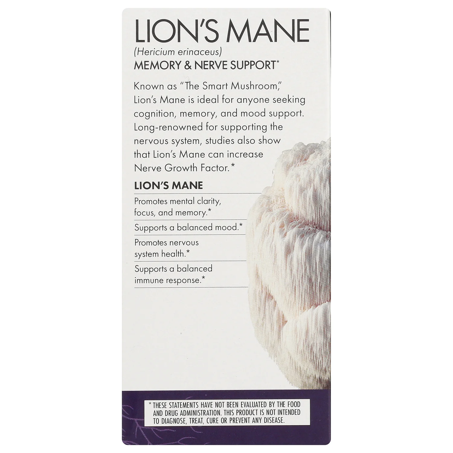 Lion's Mane - Image 4