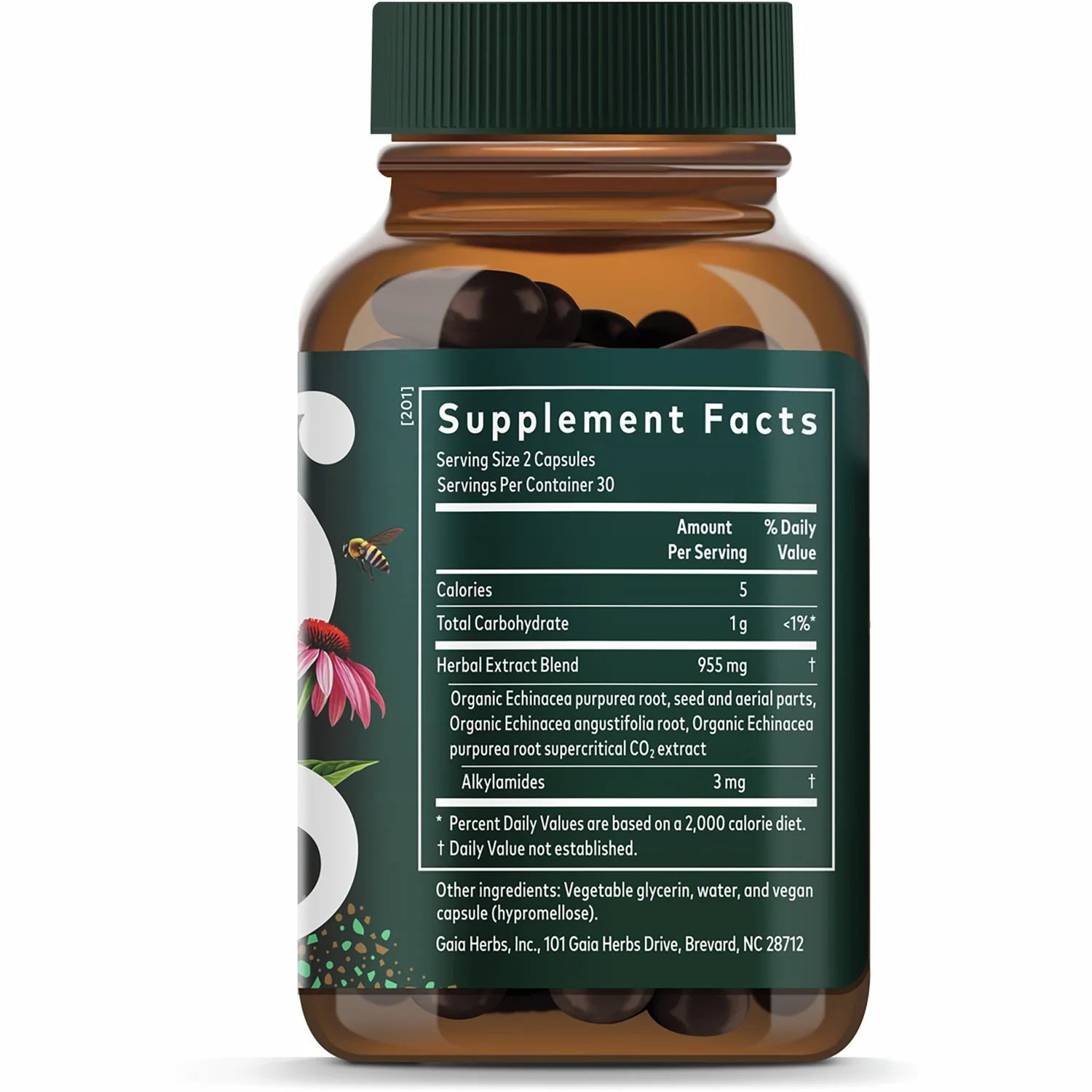 Echinacea Supreme - Image 2