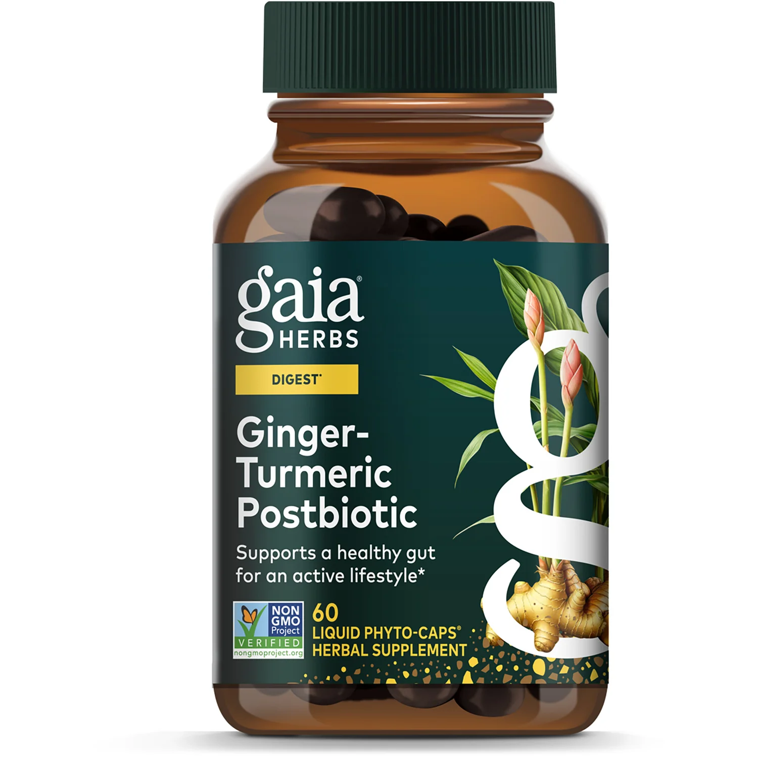 Ginger-Turmeric Postbiotic