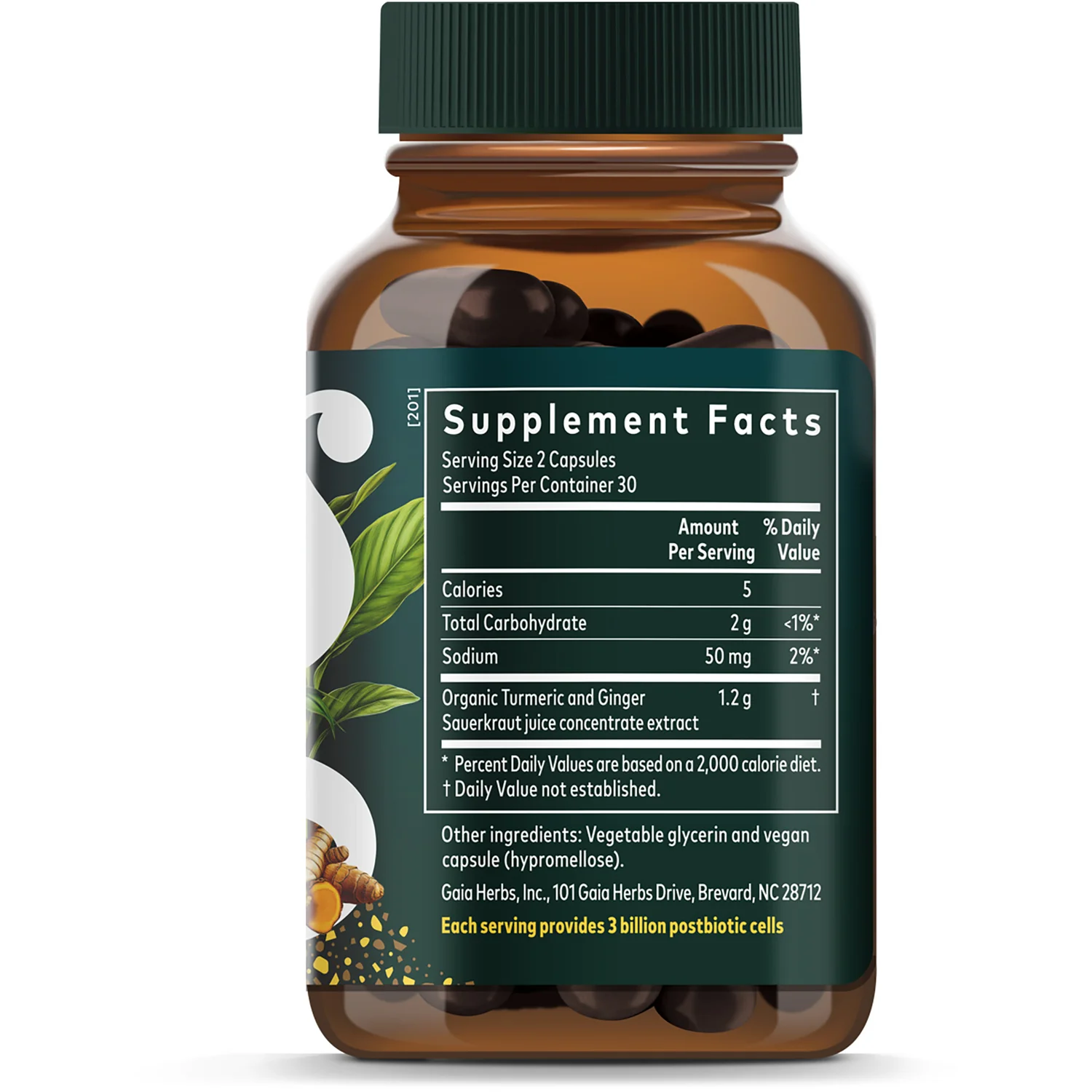 Ginger-Turmeric Postbiotic - Image 2