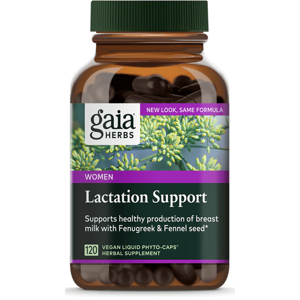Lactate Support