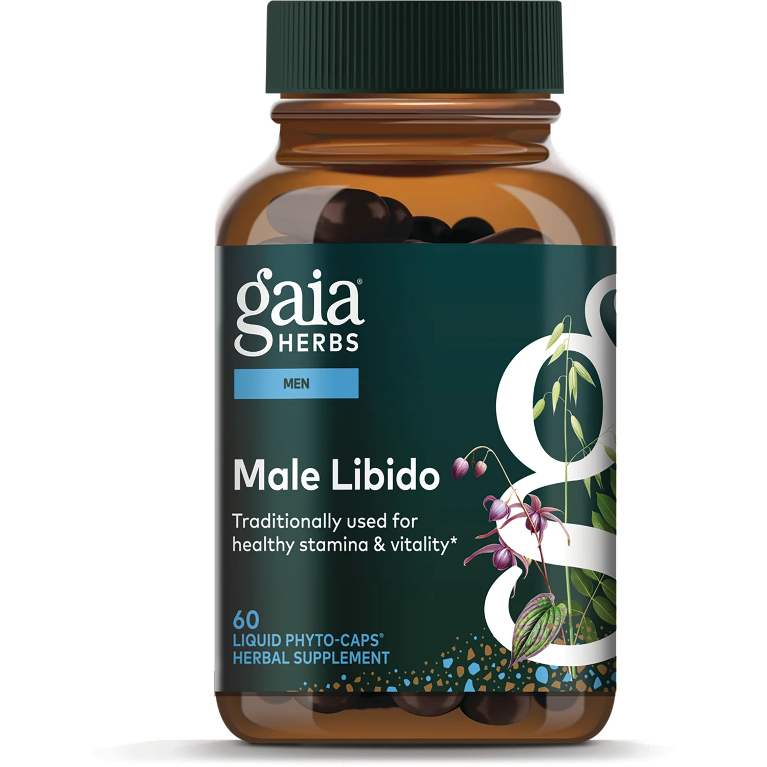 Male Libido - Image 2
