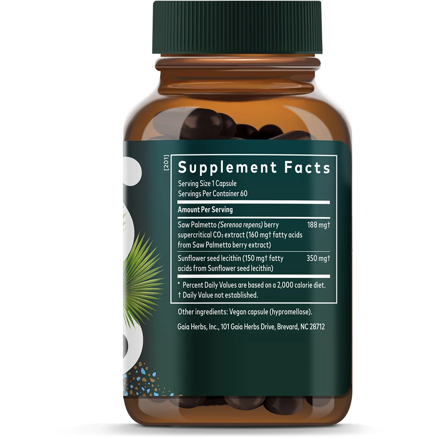 Saw Palmetto - Image 2