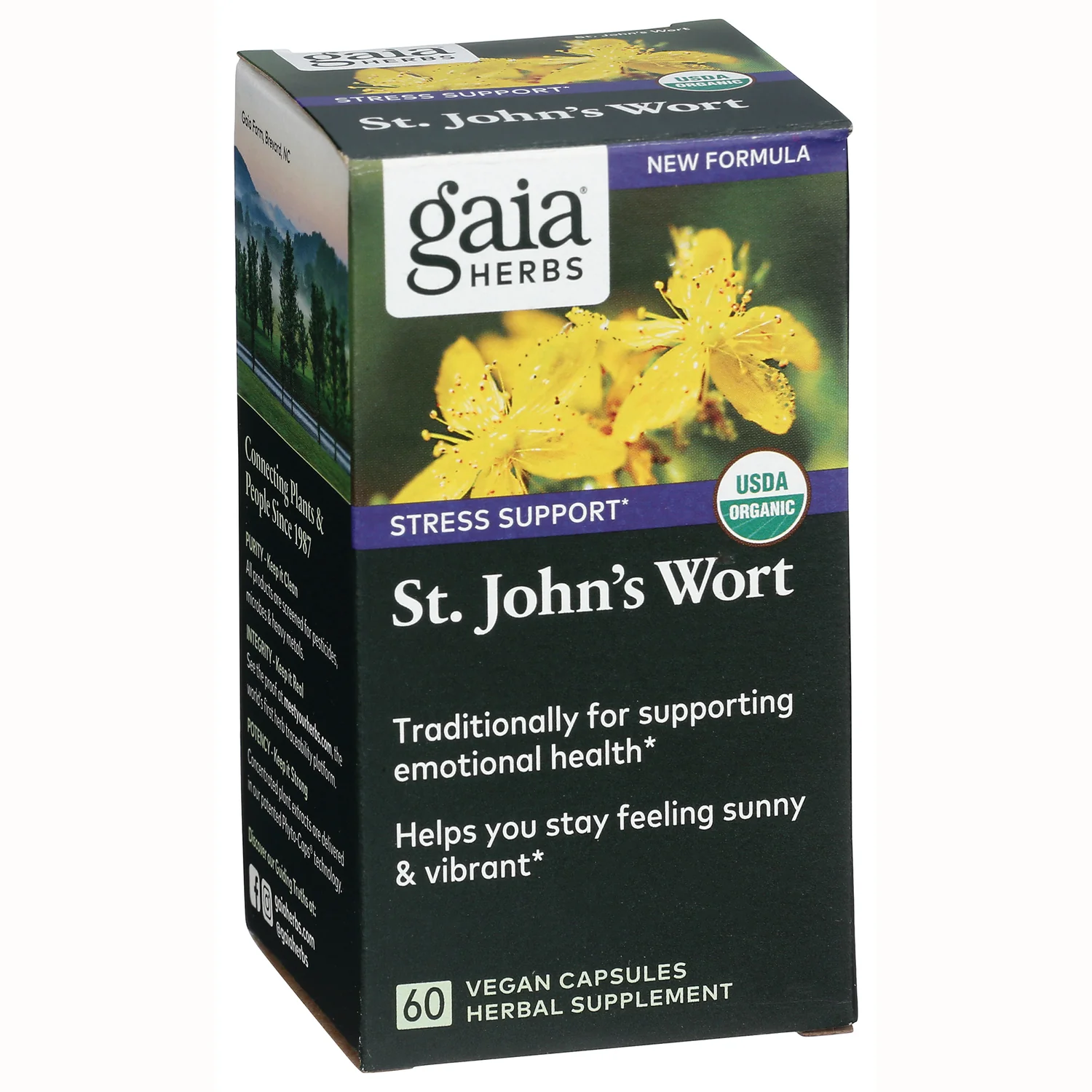 St. John's Wort