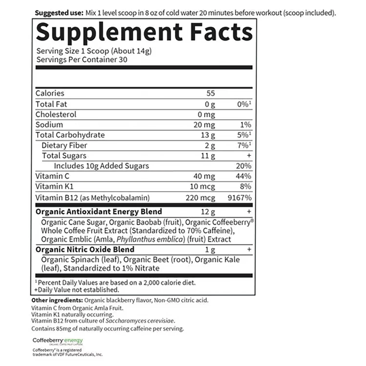 Organic Plant-Based Energy + Focus - Blackberry - Image 2