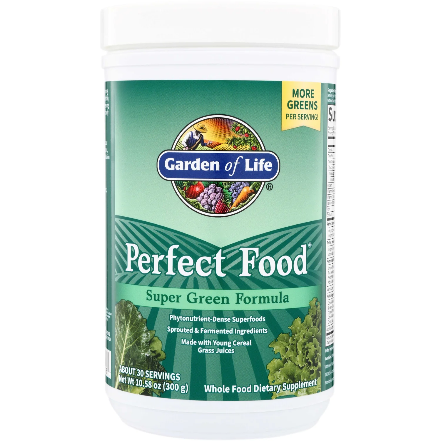 Perfect Food
