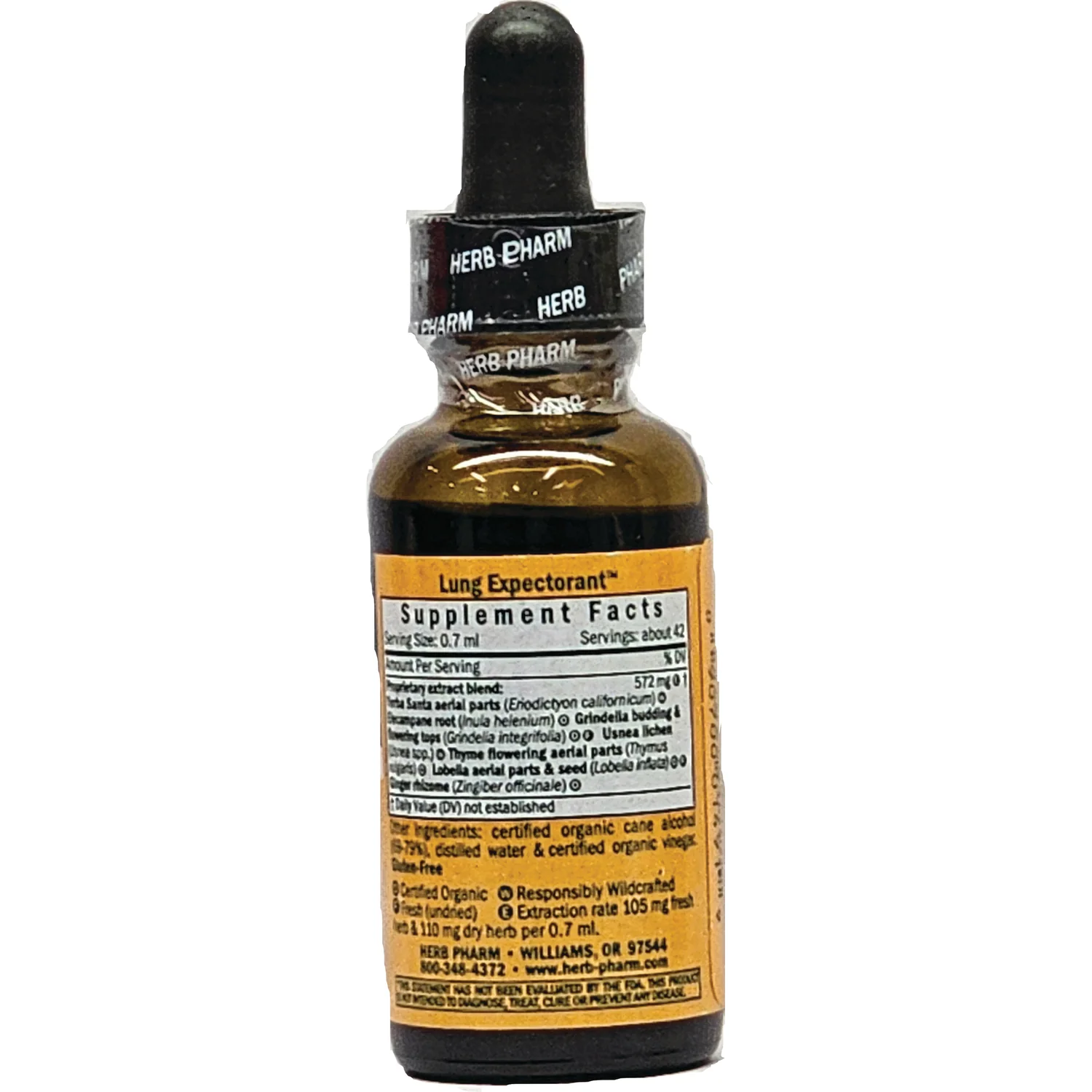 Lung Expectorant - Respiratory System - Image 2