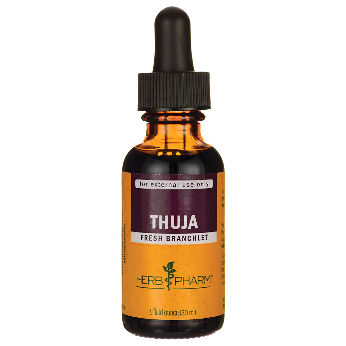 Thuja