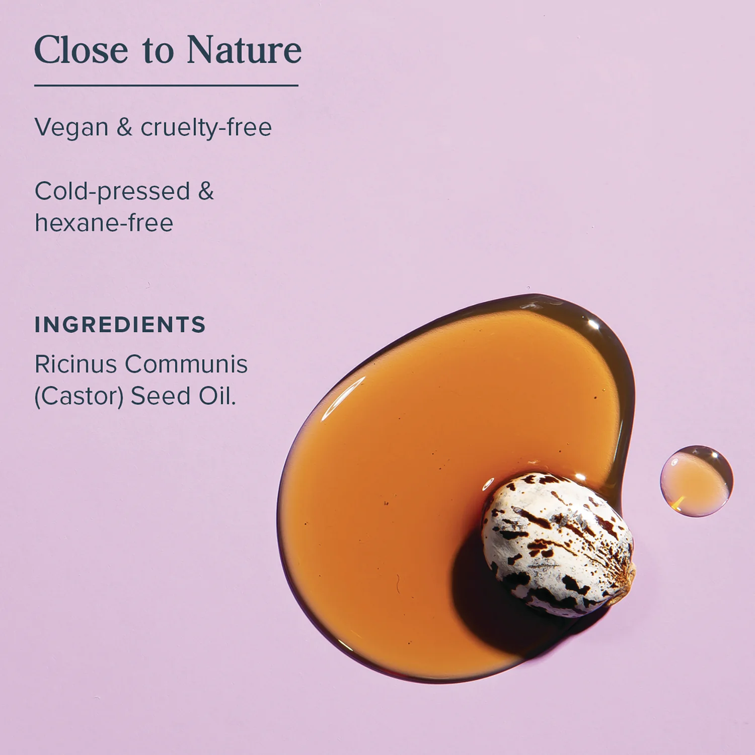 Black Castor Oil for Body, Hair and Brows - Image 4