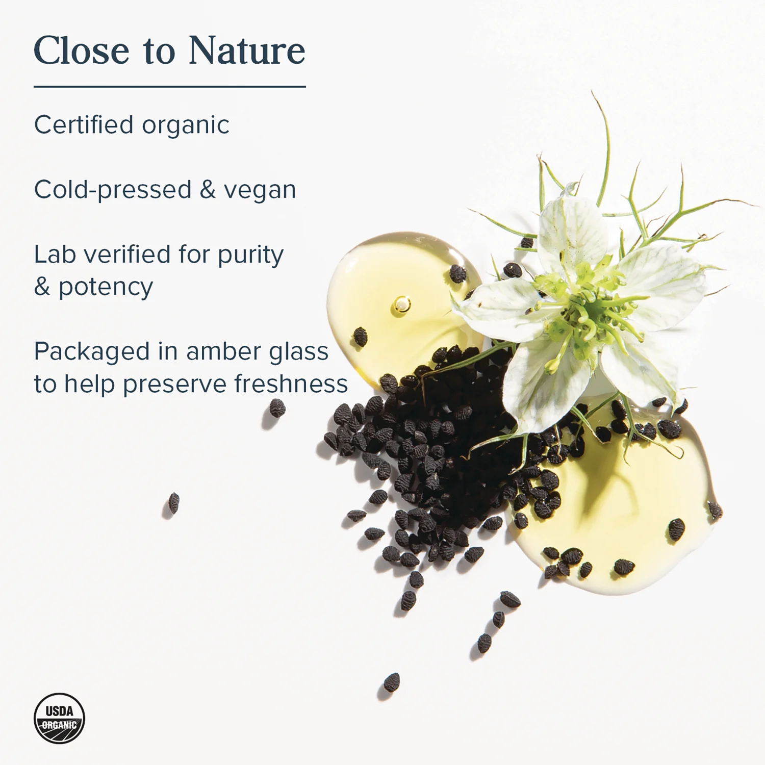 Black Seed Oil - Image 4