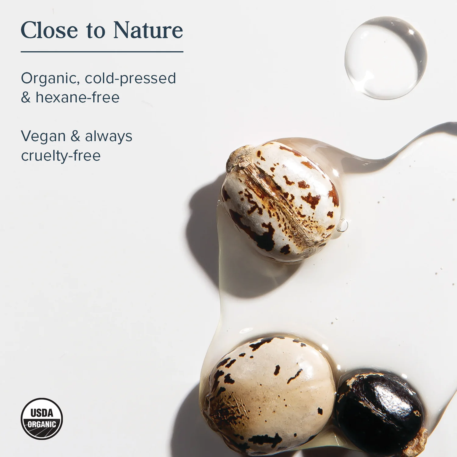 Organic Castor Oil - Image 4