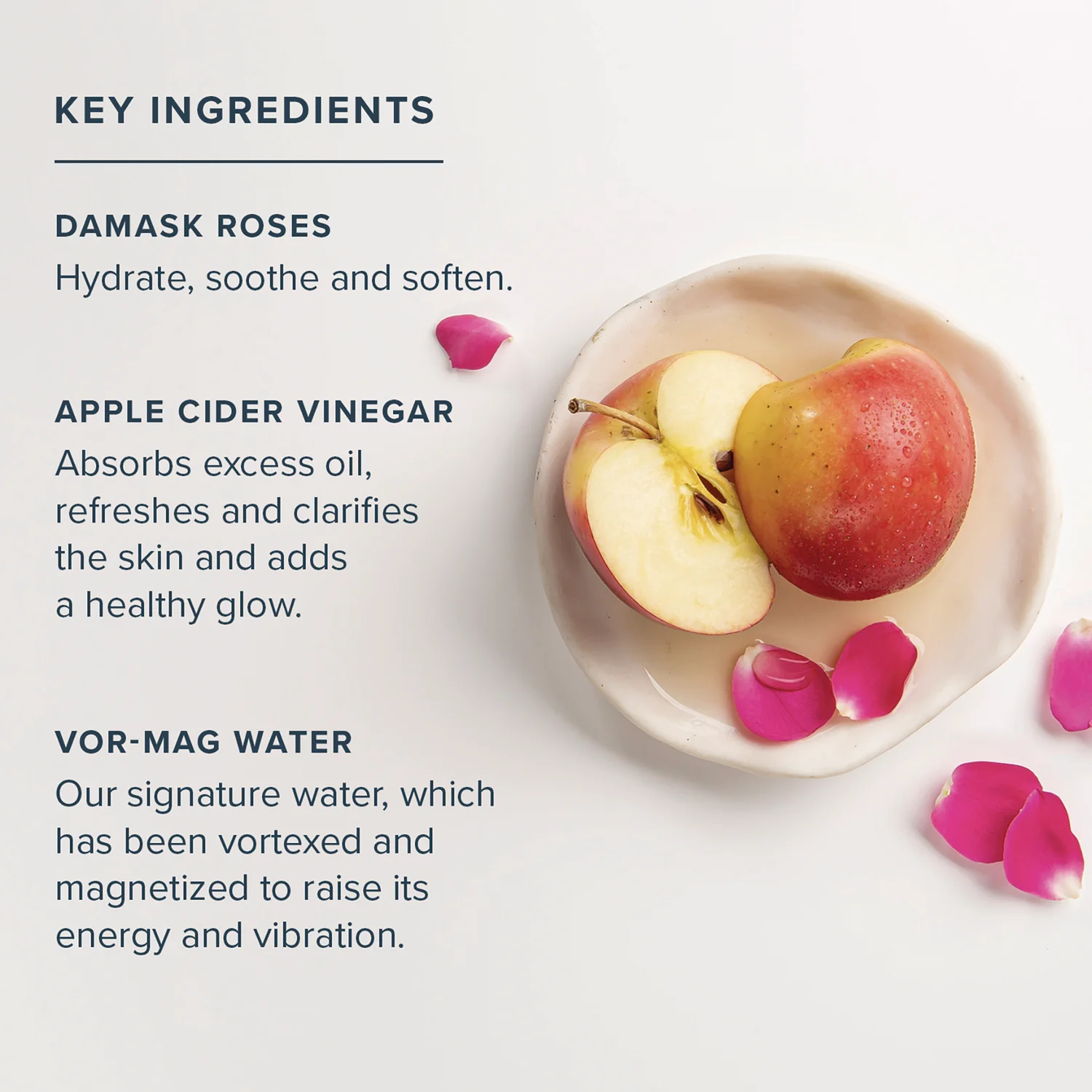 Rosewater & Vinegar Exfoliating Toner - Image 4