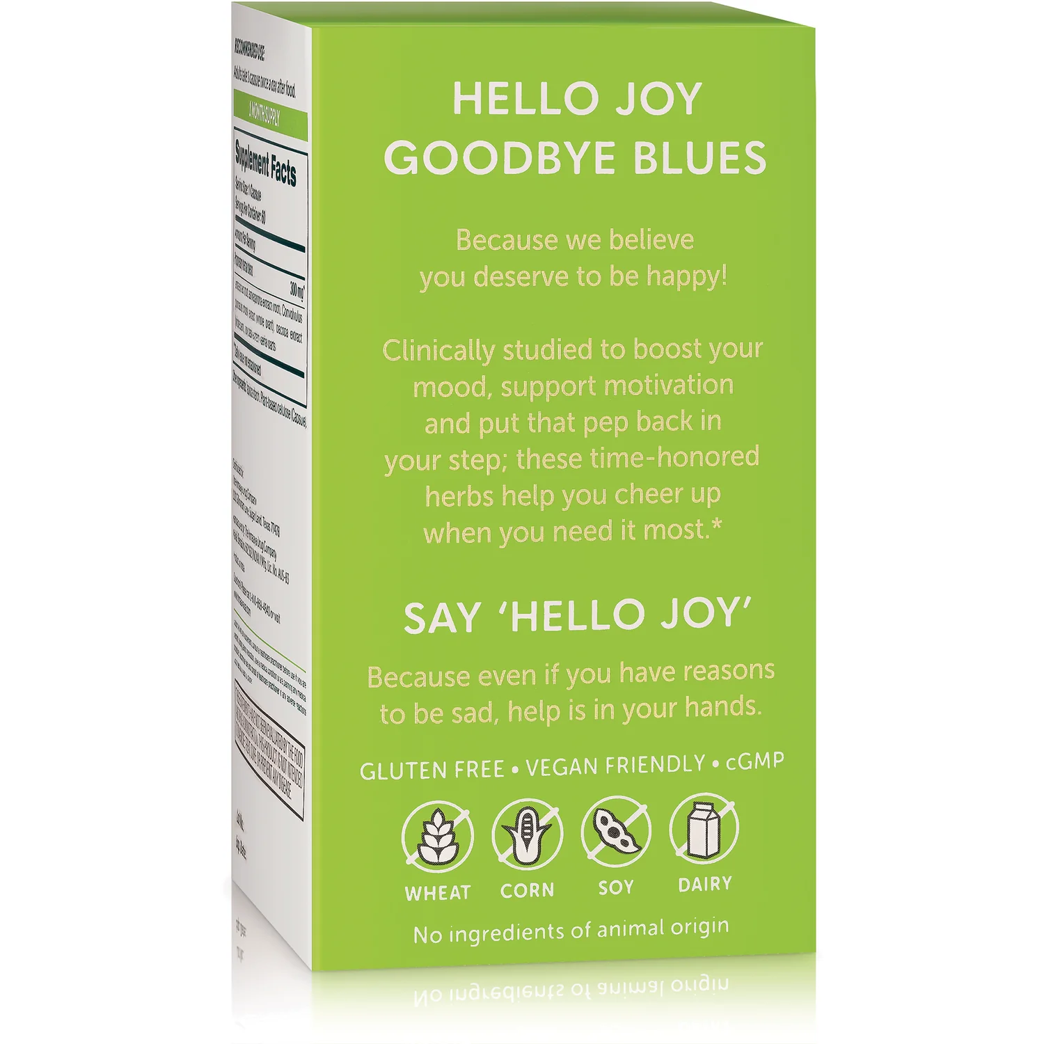 Hello Joy - Image 3