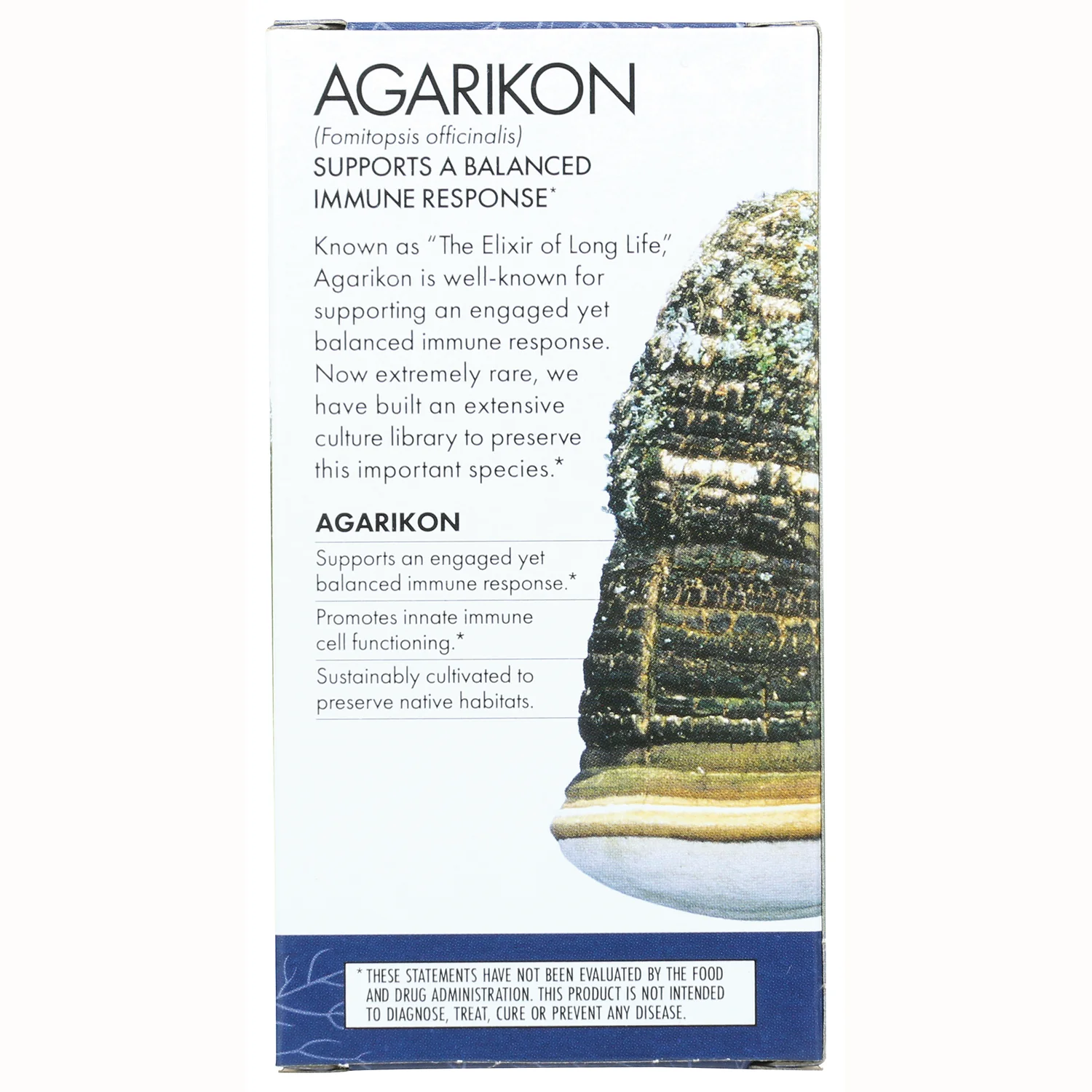 Agarikon - Image 4