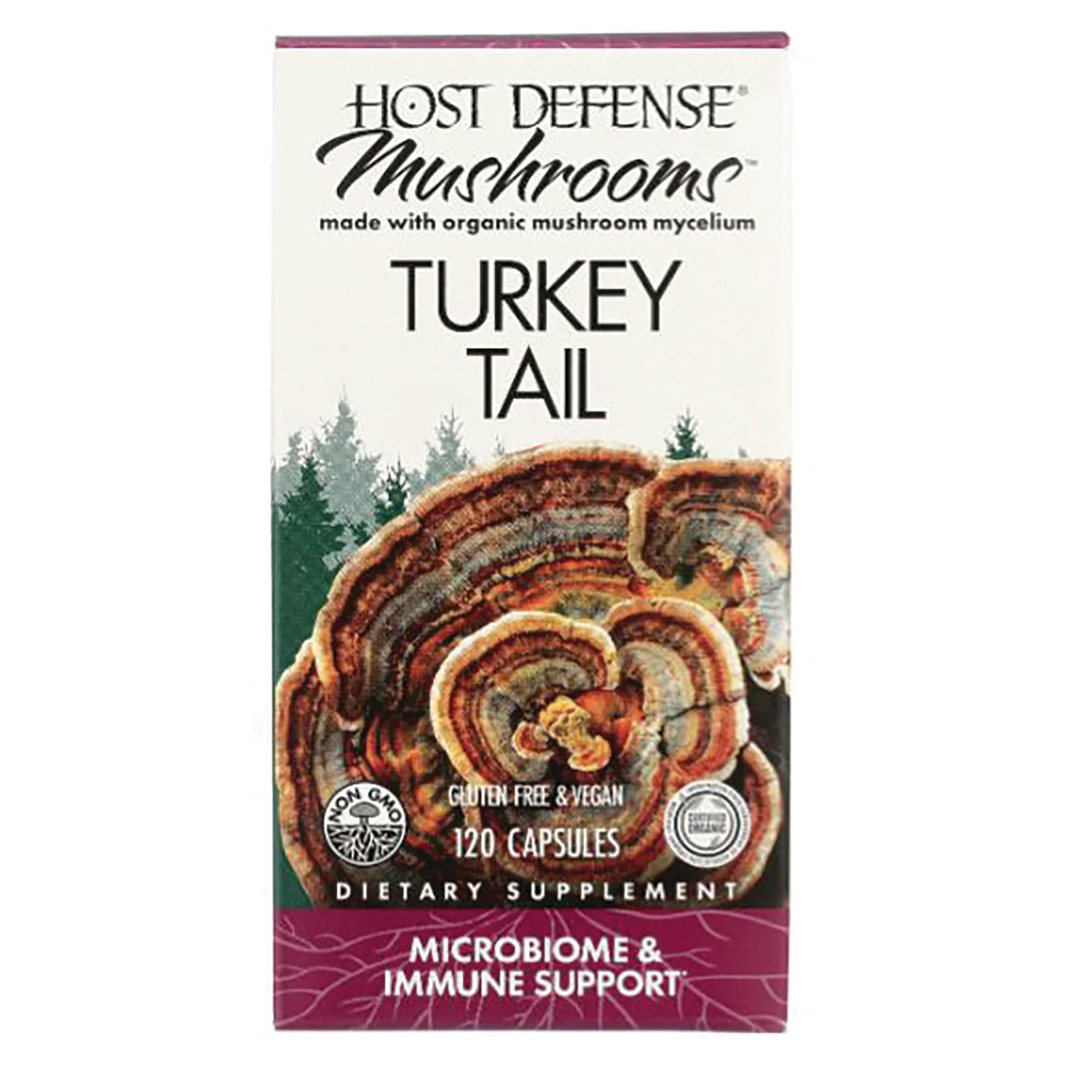 Turkey Tail - Image 2