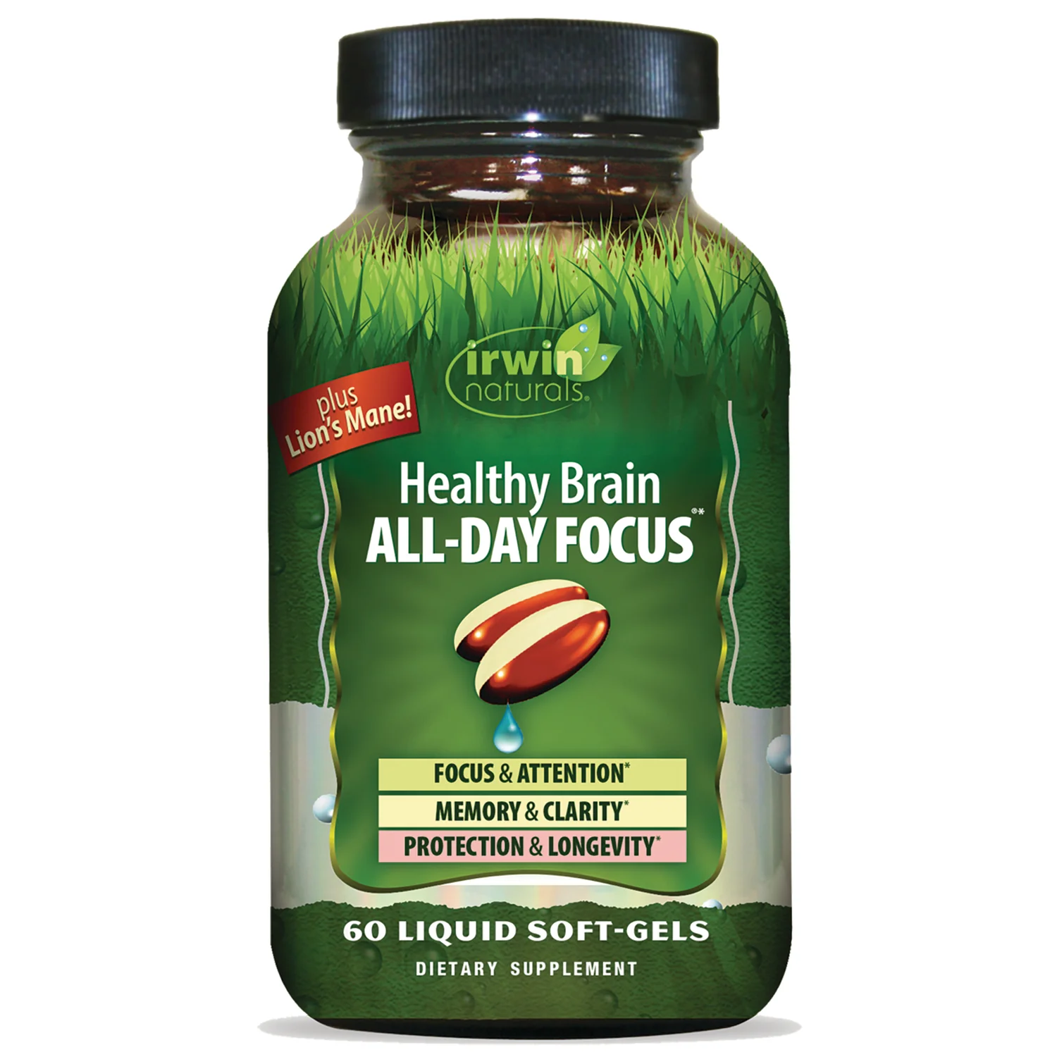 Healthy Brain All-Day Focus
