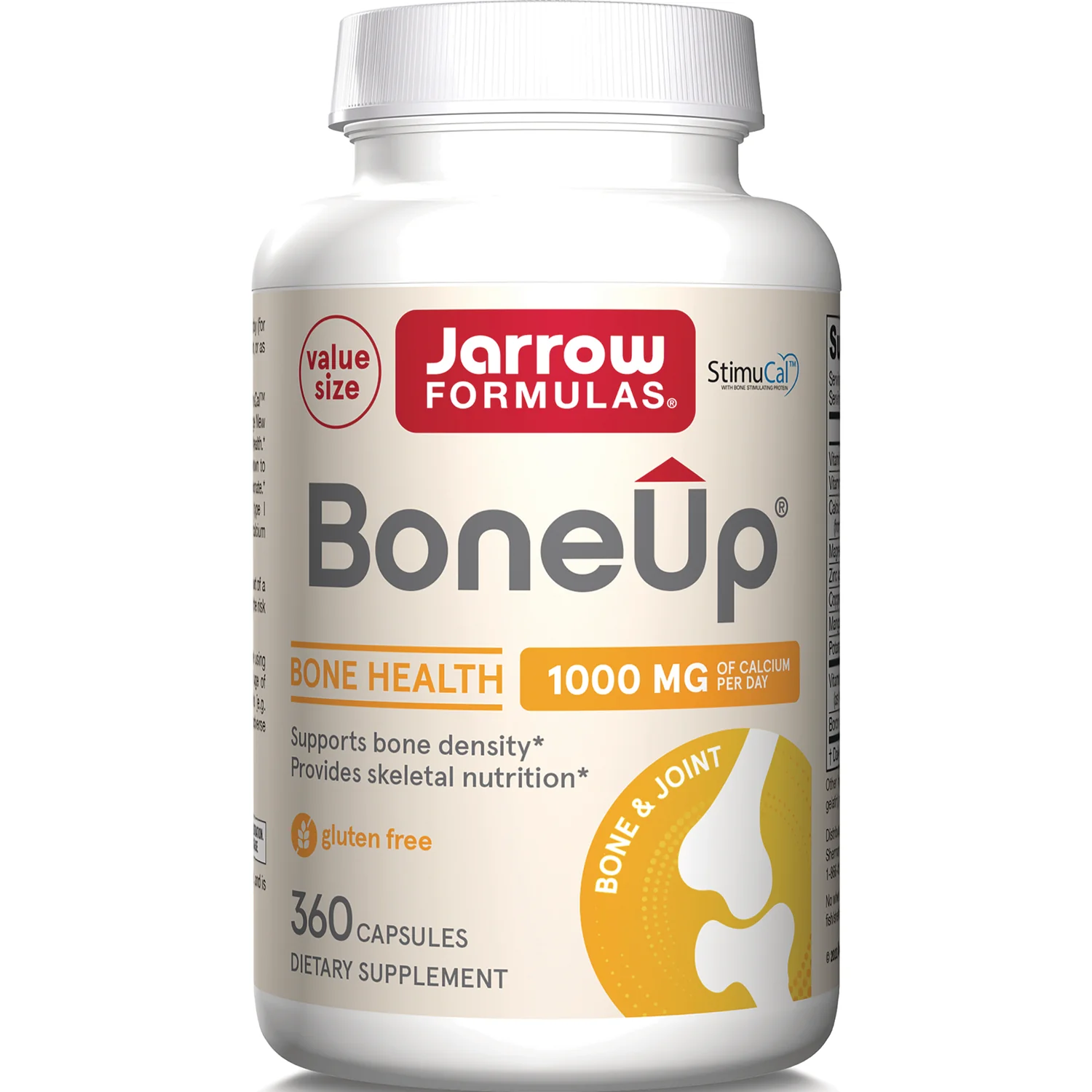 BoneUp - Image 3
