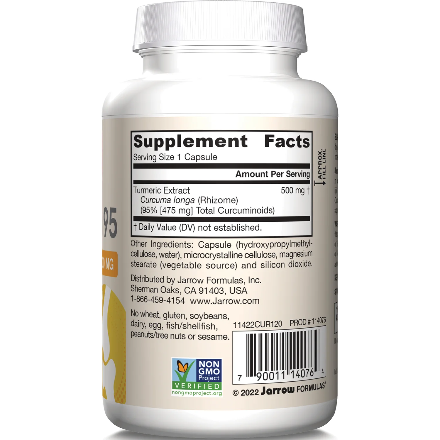 Vegan Curcumin 95 - Image 2