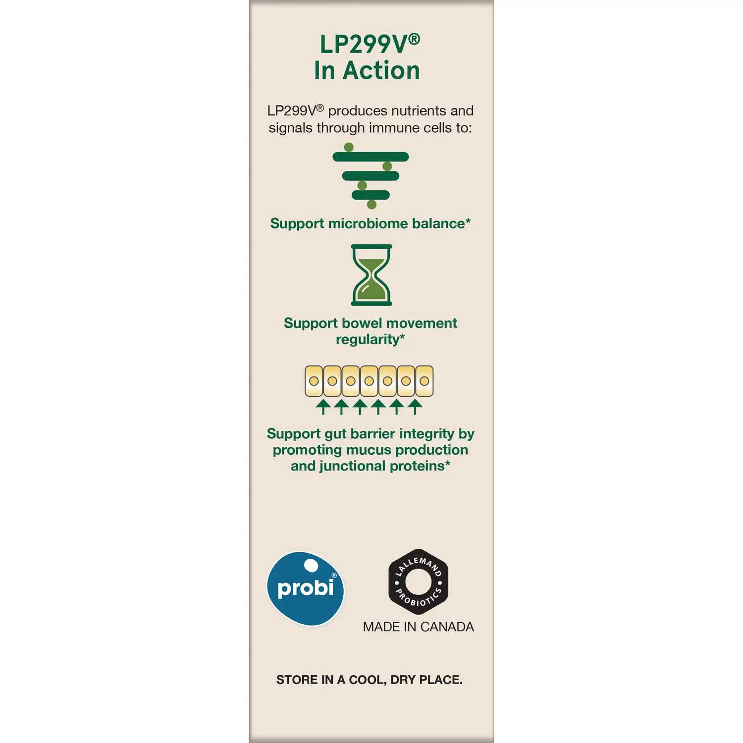 Vegan Ideal Bowel Support - Image 4