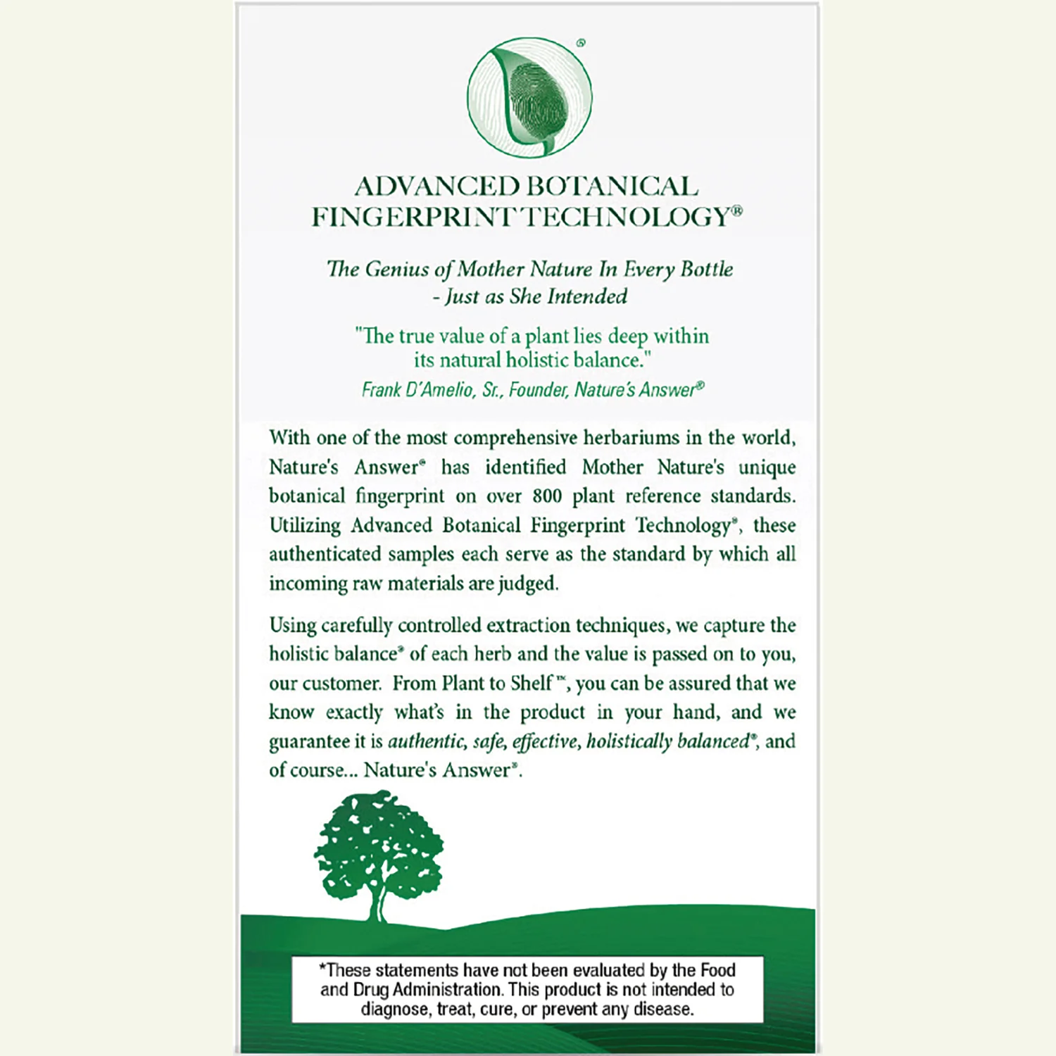 Astragalus - Image 4