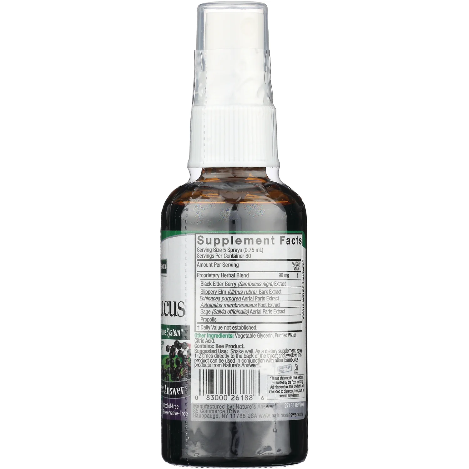 Sambucus Black Elderberry Extract Spray - Image 2