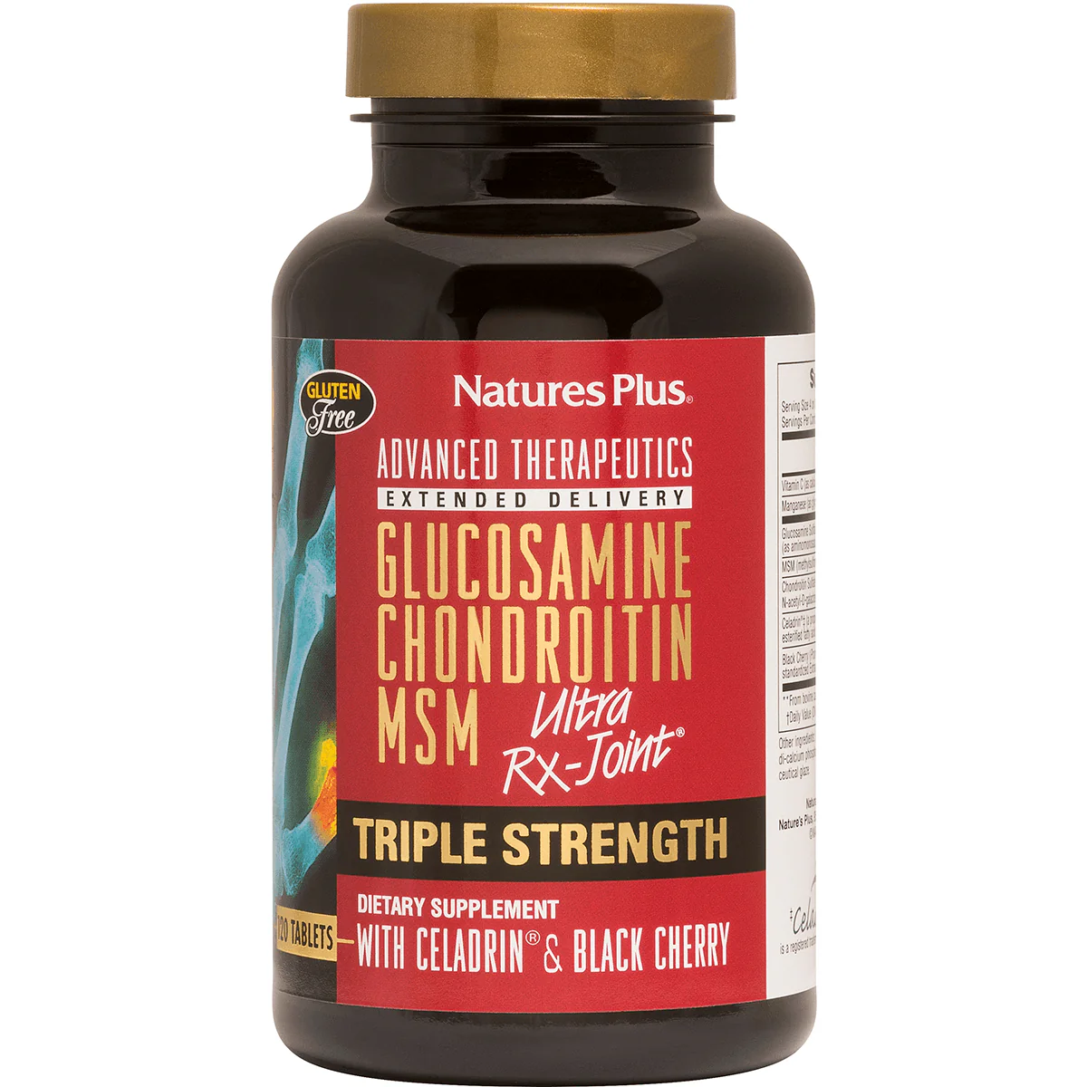 Glucosamine Chondriotin MSM Ultra RX-Joint - Triple Strength