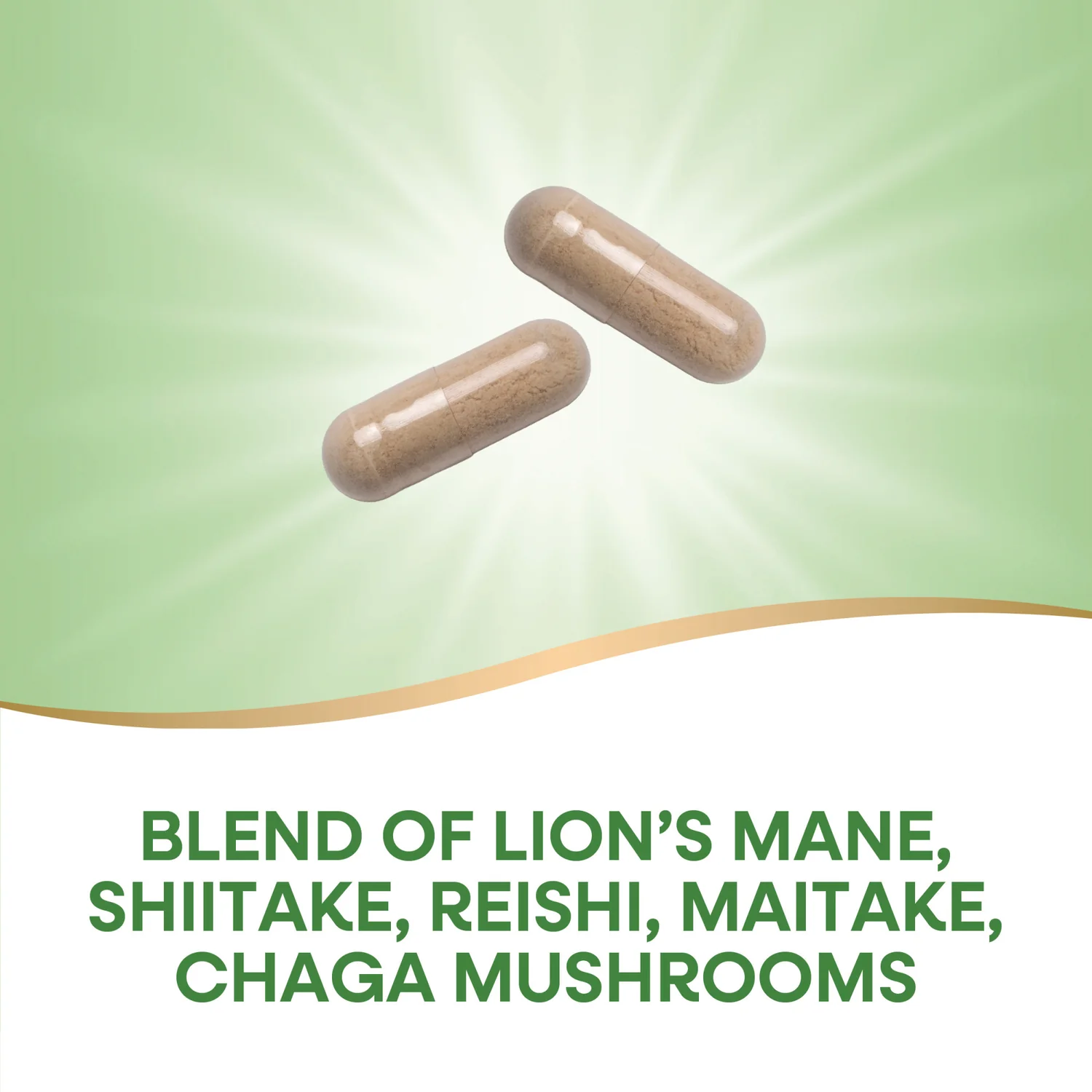 5-Mushroom Blend - Image 3