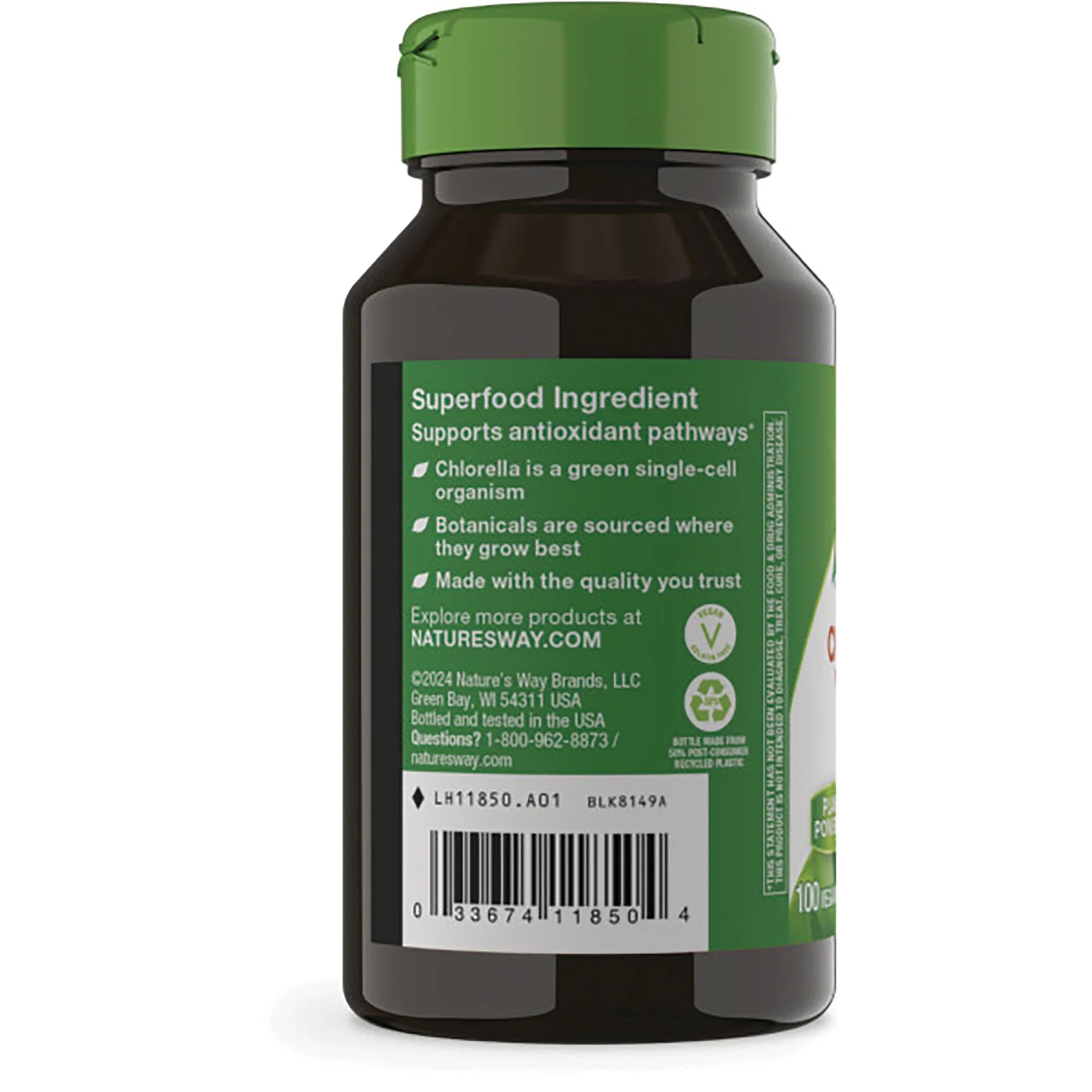 Chlorella Micro-Algae - Image 3