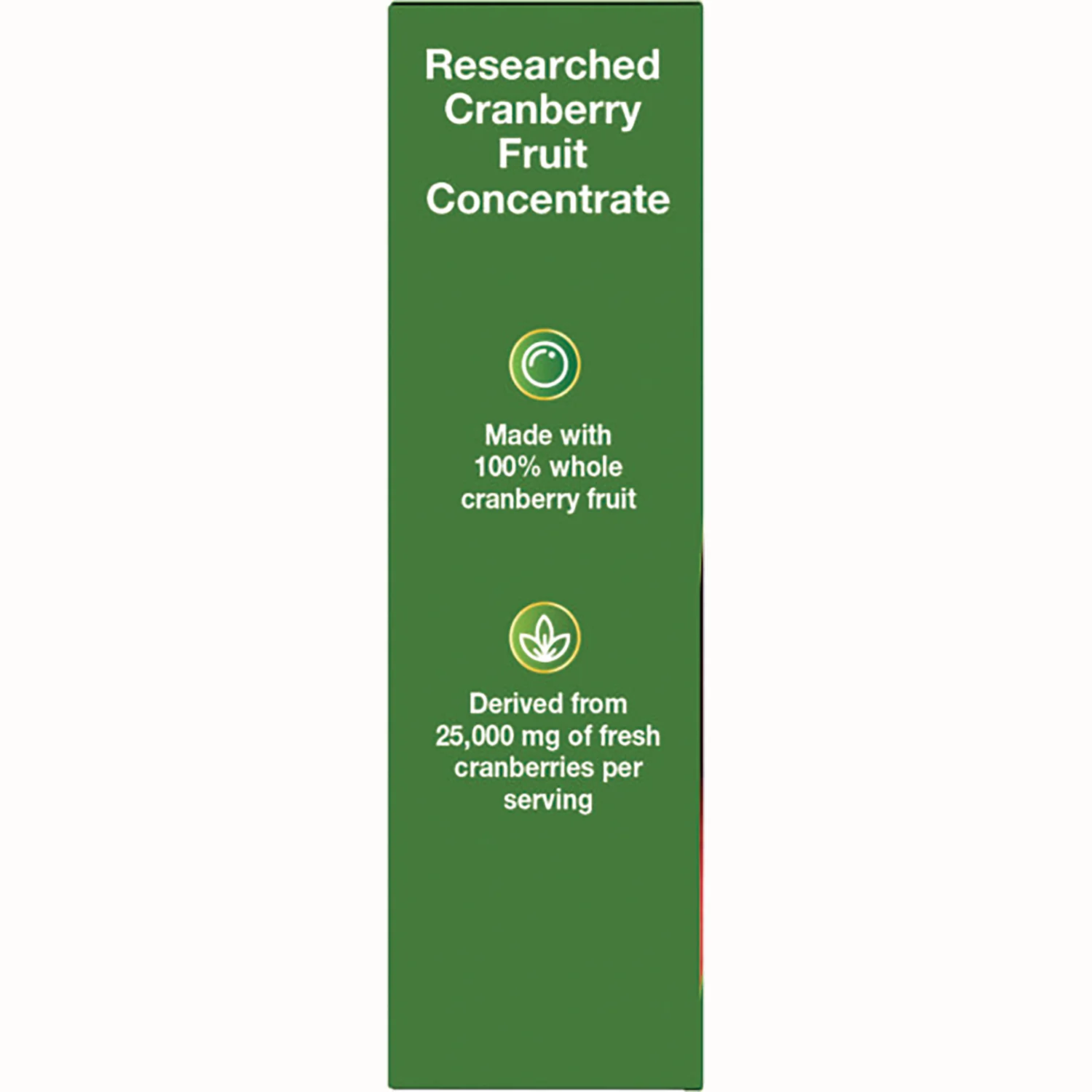 CranRx BioActive Cranberry - Image 3