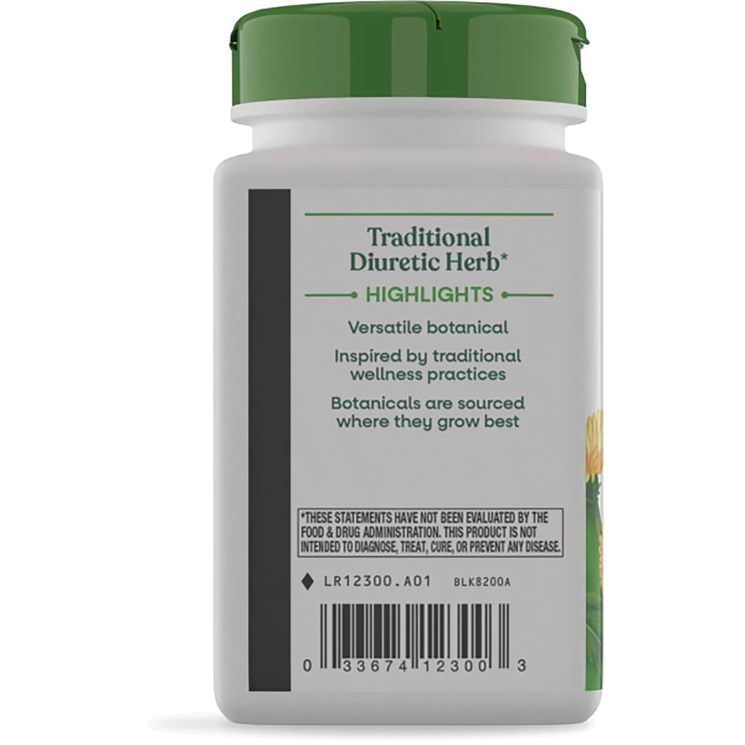 Dandelion Root - Image 4
