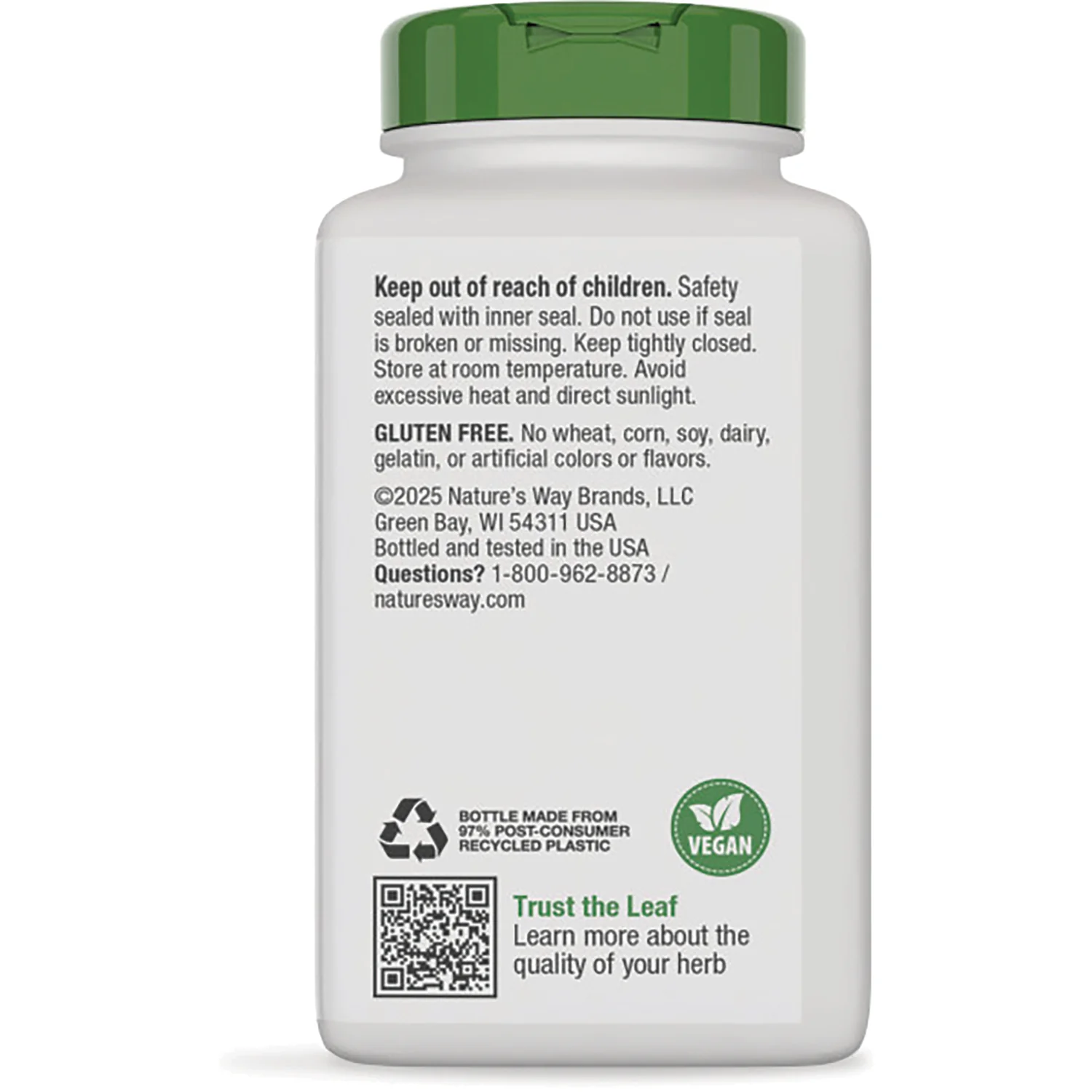 Dandelion  Root - Image 3