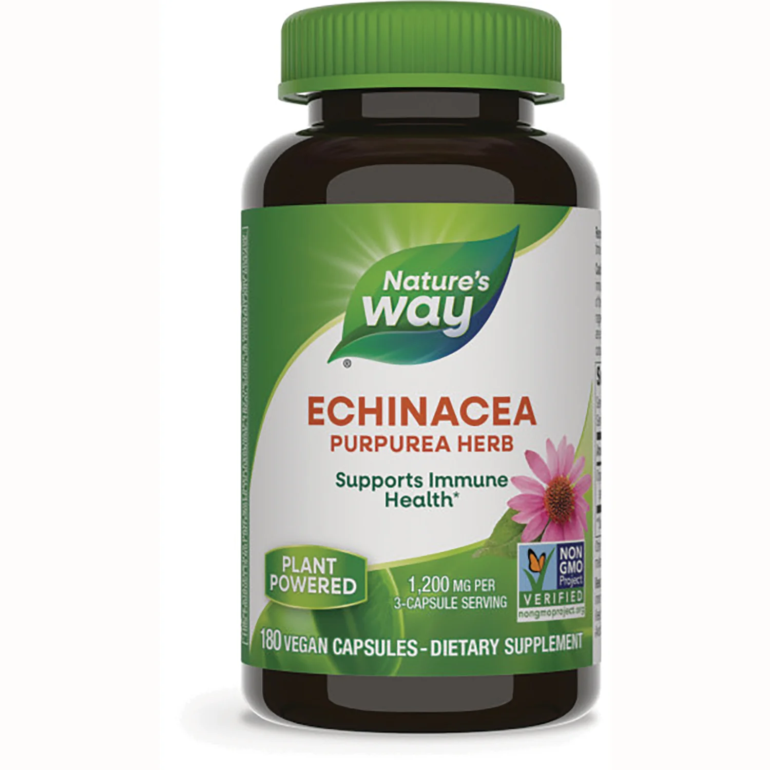 Echinacea Purpurea Herb