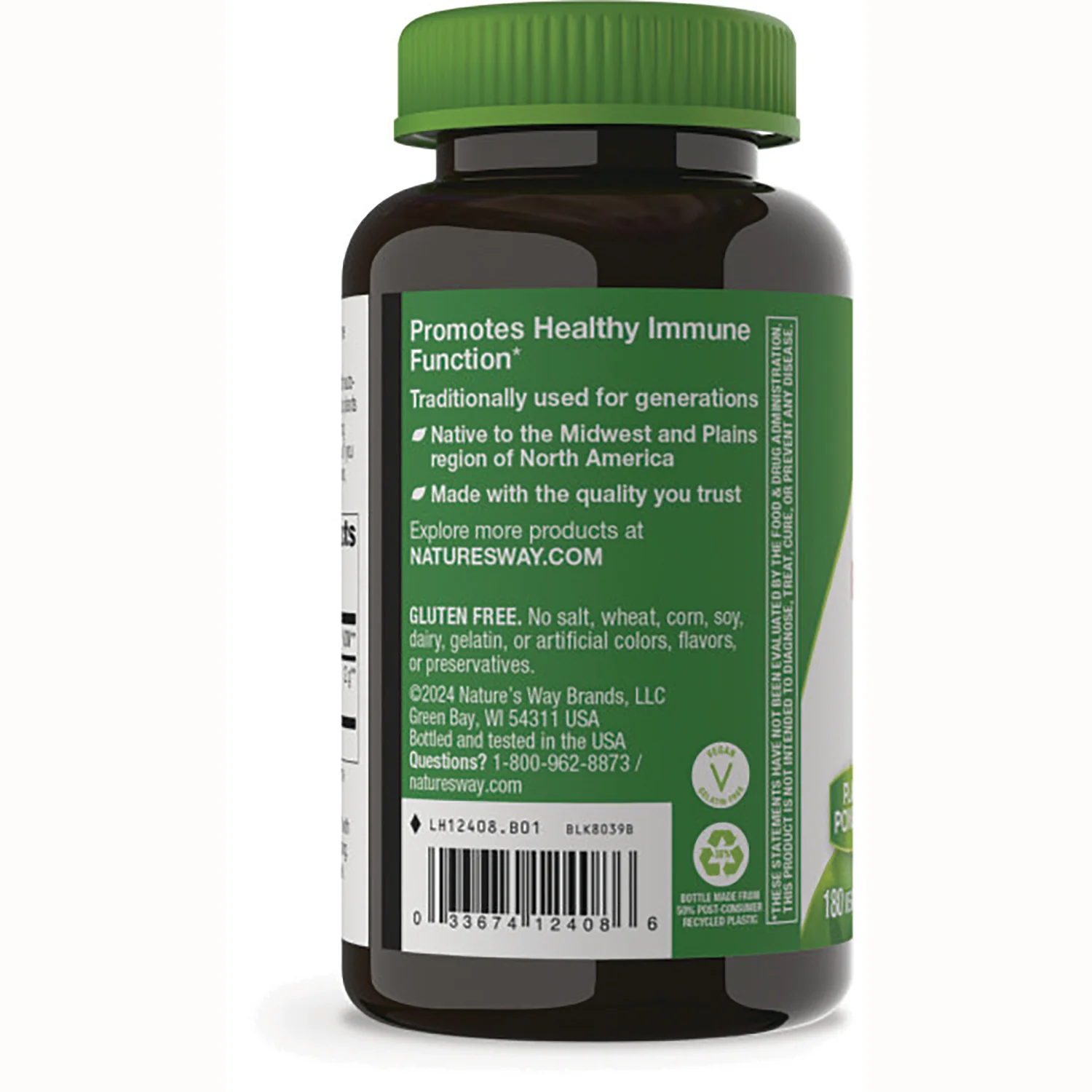 Echinacea Purpurea Herb - Image 3