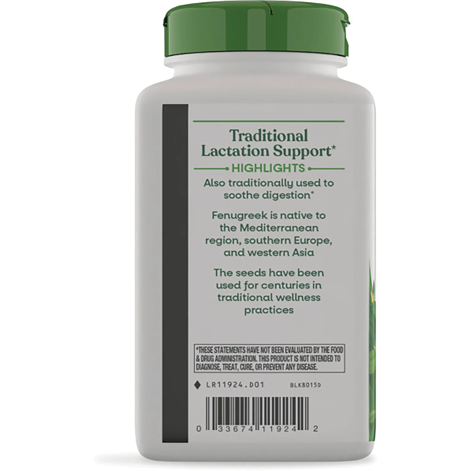 Fenugreek Seed - Image 4