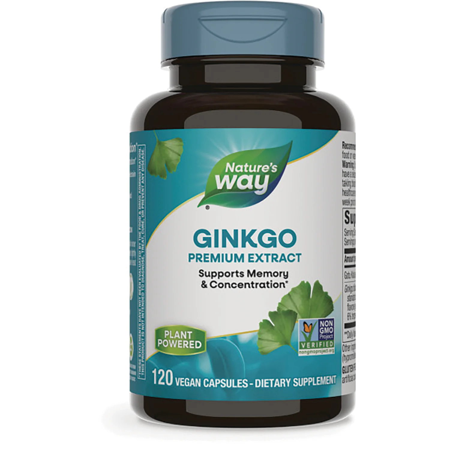 Ginkgo Premium Extract - Image 2