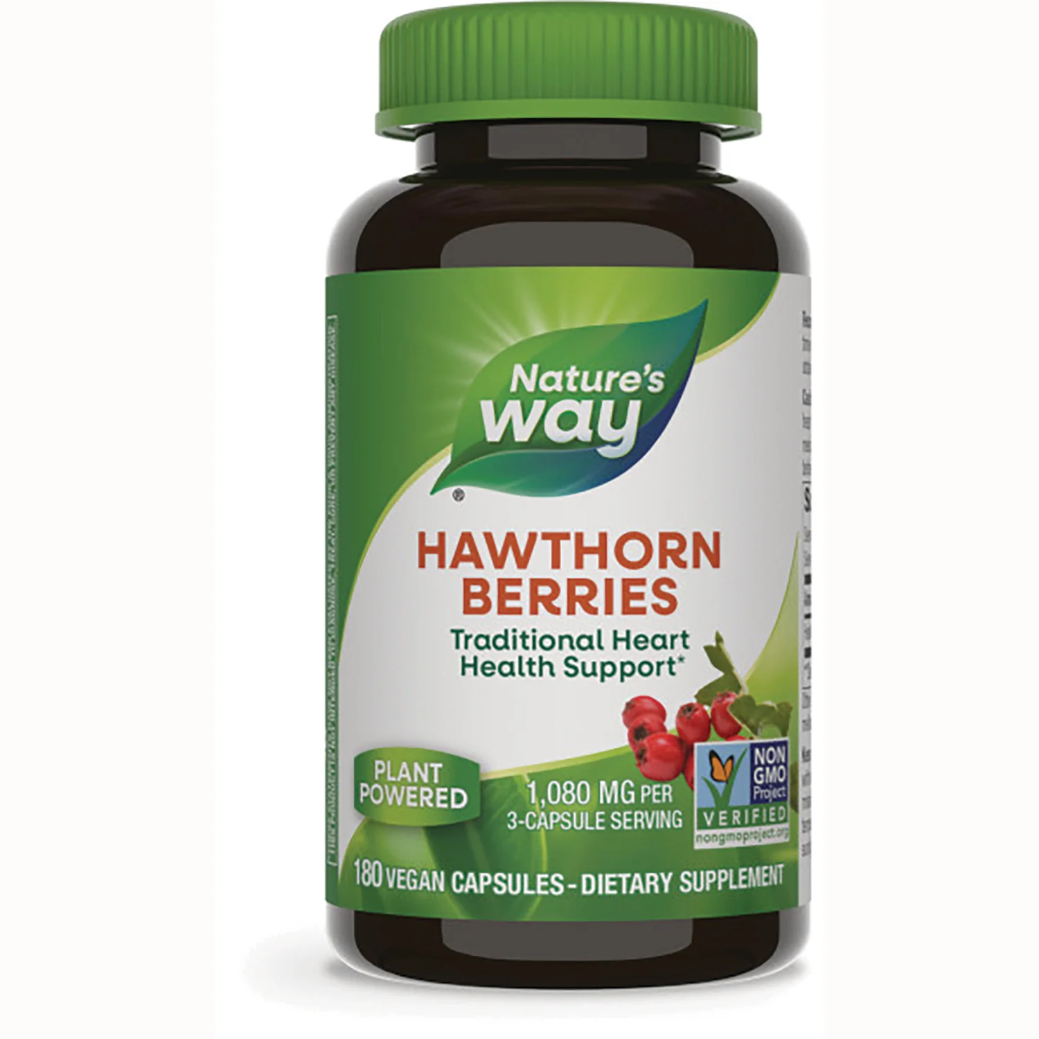 Hawthorn Berries - Image 2