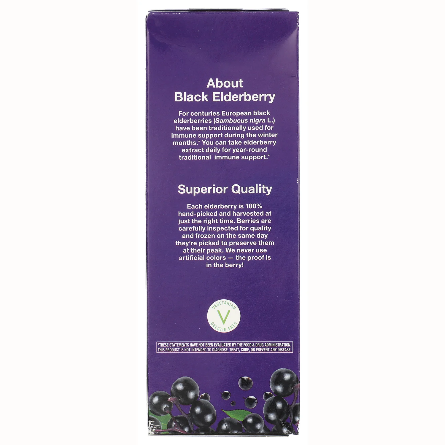 Sambucus Immune Elderberry Syrup - Image 4